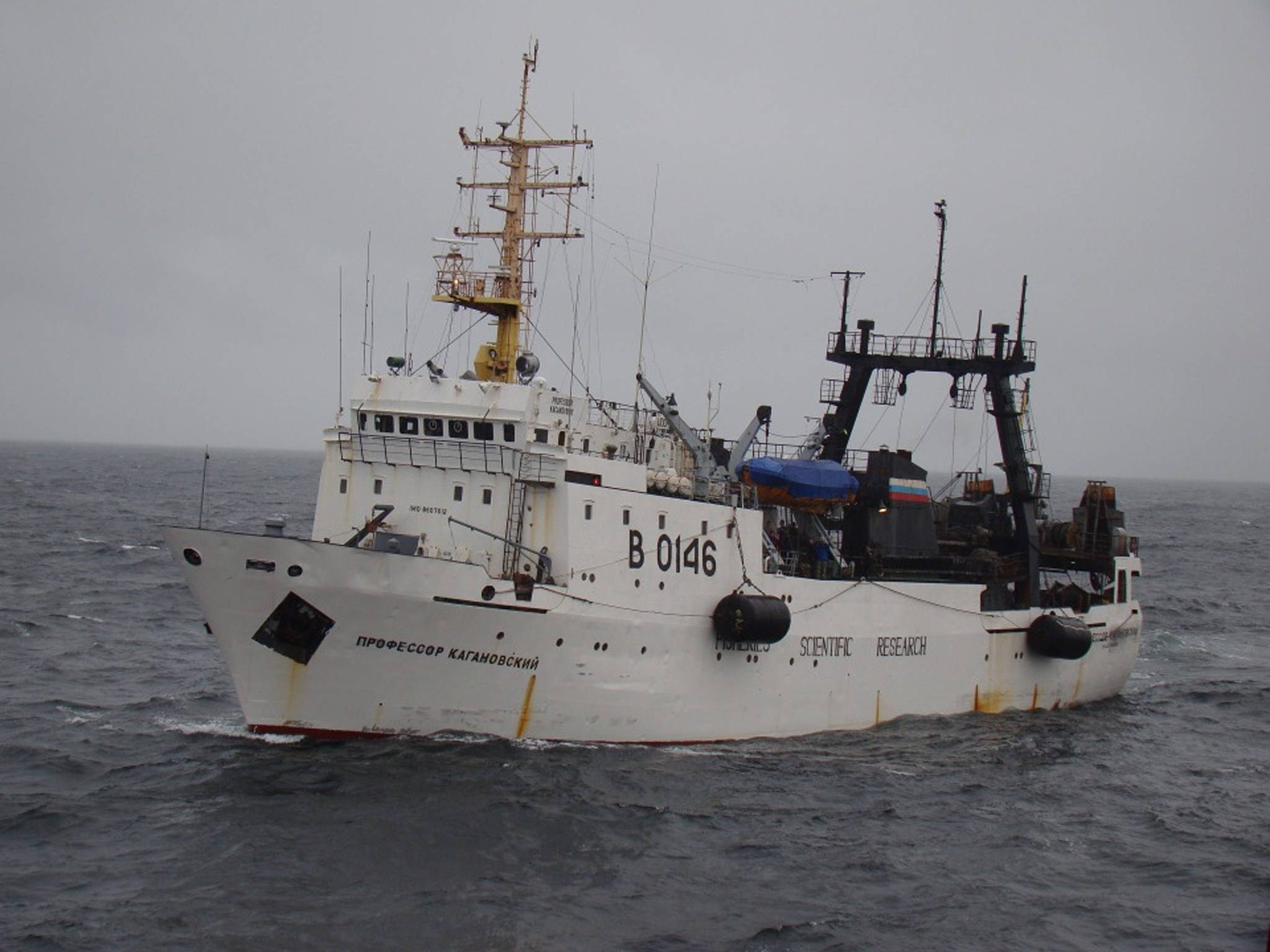 The Russian research vessel Professor Kaganovsky will host scientists from the United State, Canada, Russia, Japan and Korea for a high seas survey in the Gulf of Alaska from mid-February to mid-March. (Pacific Scientific Research Fisheries Center - TINRO-Center - in Vladivostok)