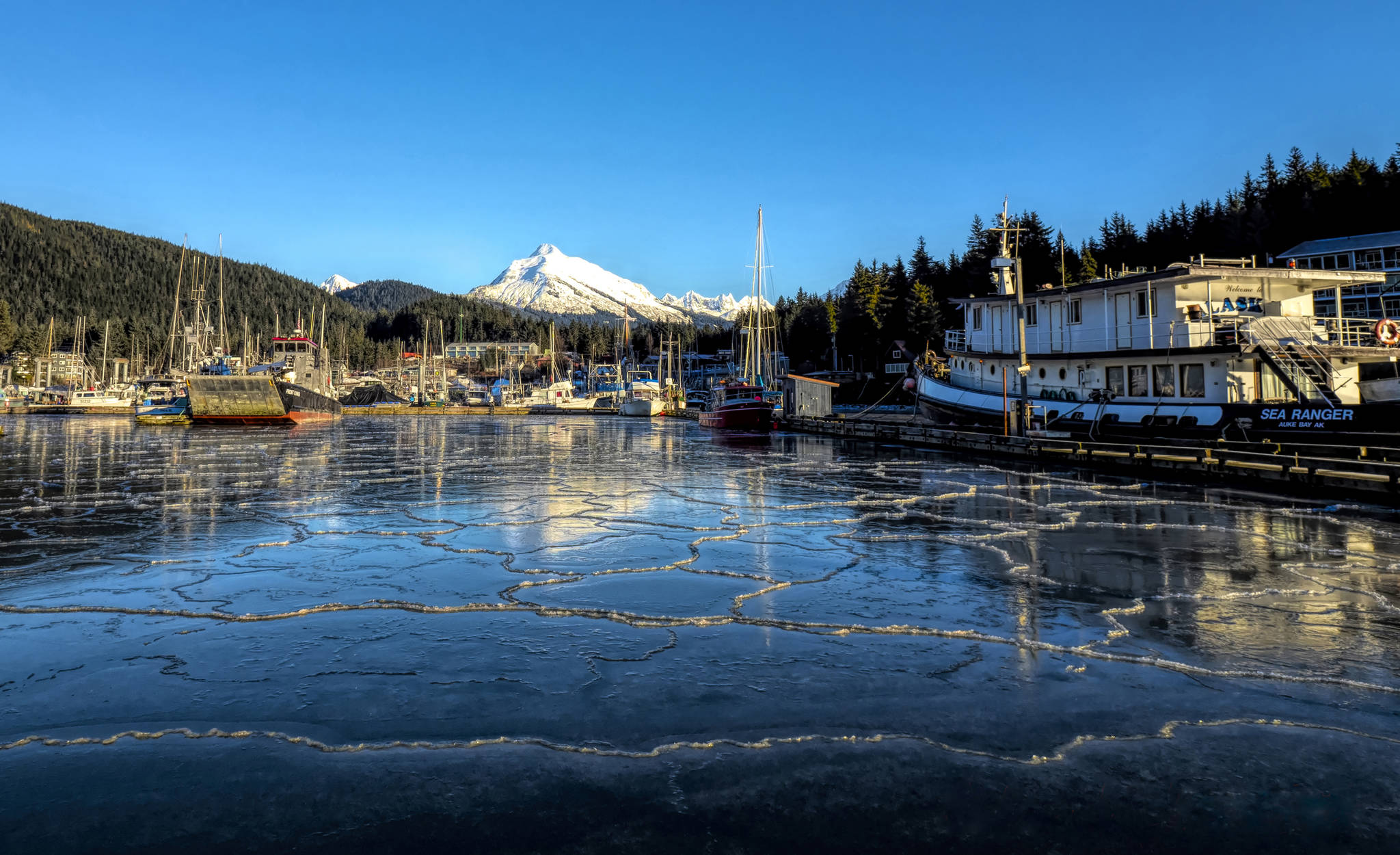 Frozen in Auke Bay on Feb. 3, 2019. (Courtesy Photo | Janice Gorle)