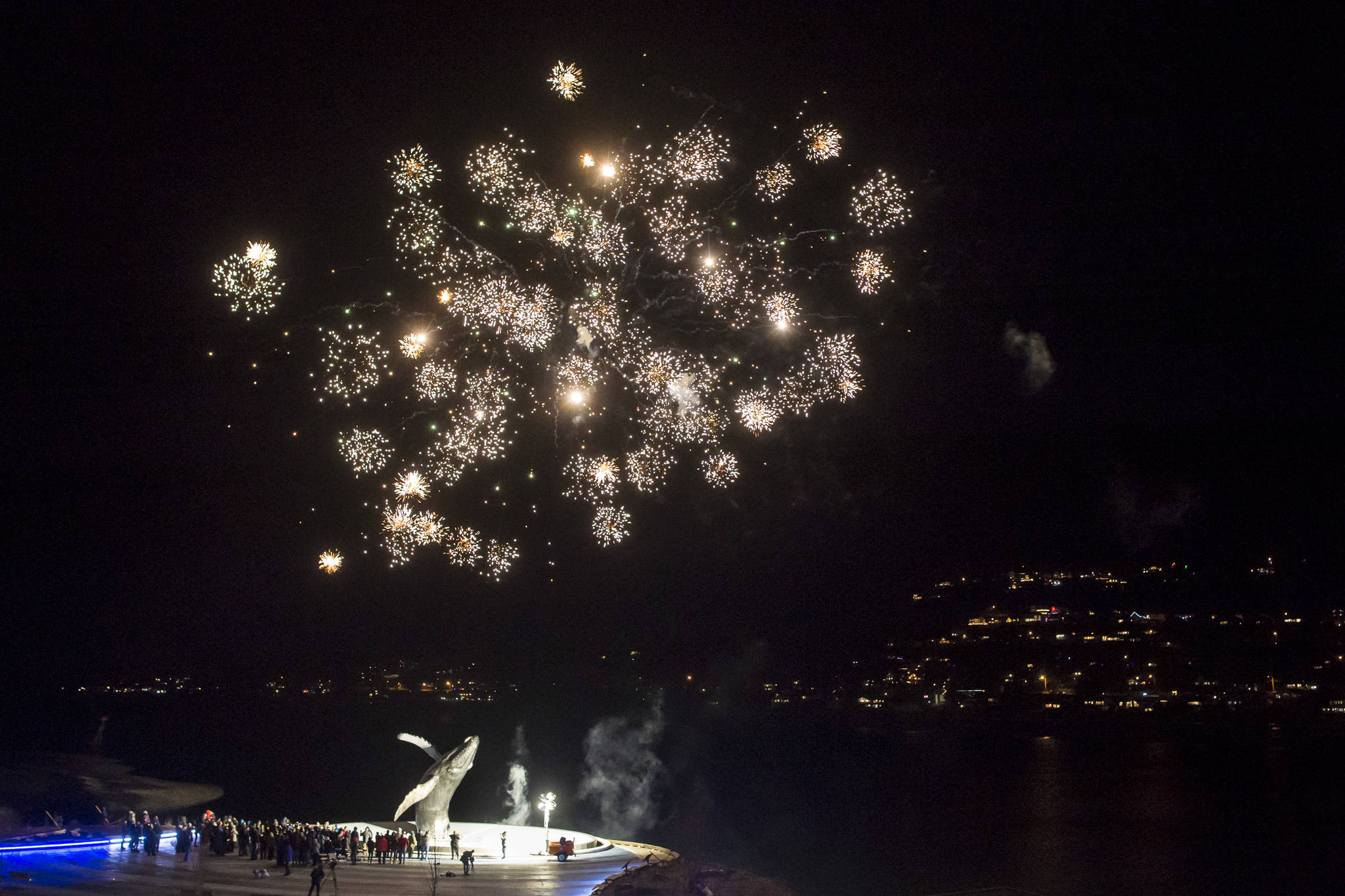 Fireworks are set off as hundreds of Juneau residents attend a candlelight vigil at Mayor Bill Overstreet Park on Friday, Feb. 1, 2019, in 8-degree weather for the Guardian medical flight crew that went missing this week. (Michael Penn | Juneau Empire)