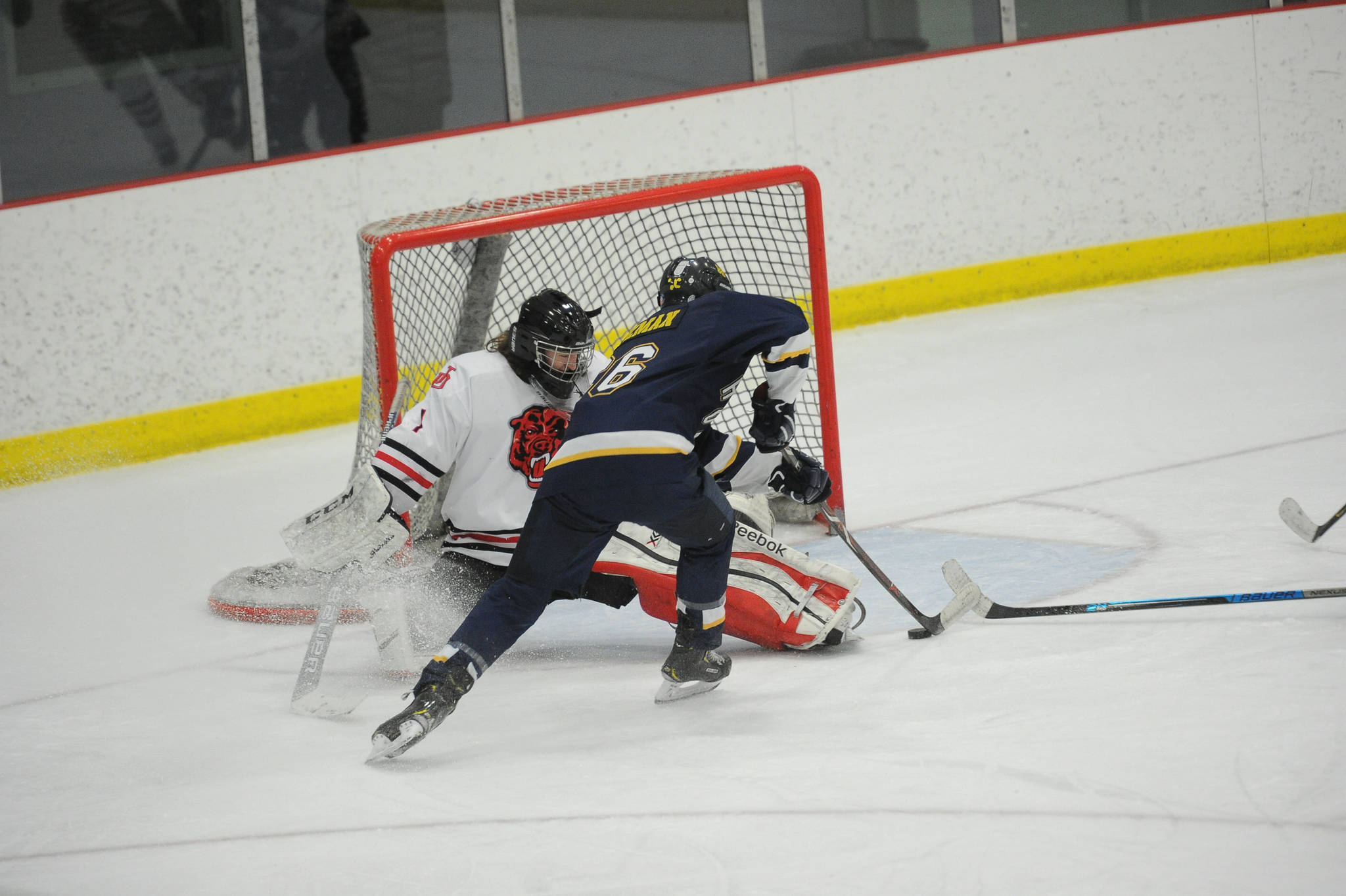 Photos: State hockey tournament