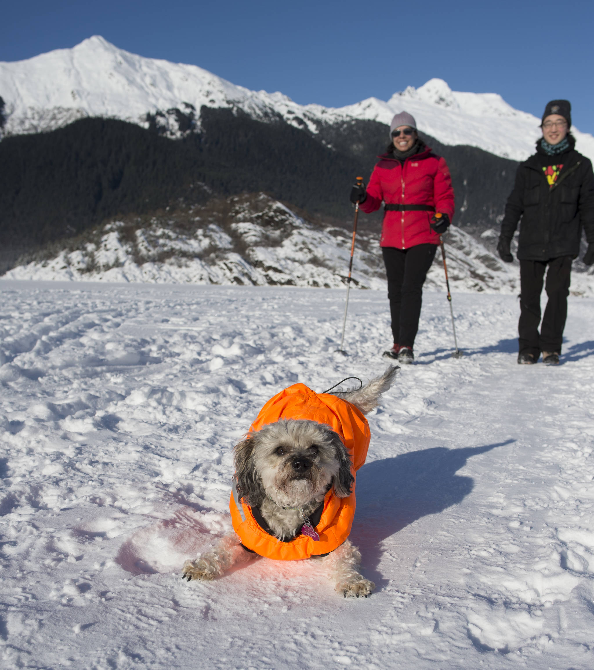 Julie York Coppens and her playful dog, Simeo, returns with Tai Kim, right, from a trip to the Mendenhall Glacier on Monday, Feb. 11, 2019. (Michael Penn | Juneau Empire)