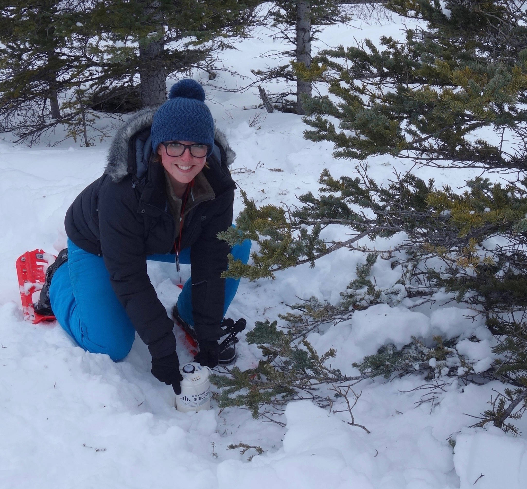 Elizabeth Berg of the University of Utah installs a seismometer on the Denali Fault near Cantwell. (Ned Rozell | For the Juneau Empire)