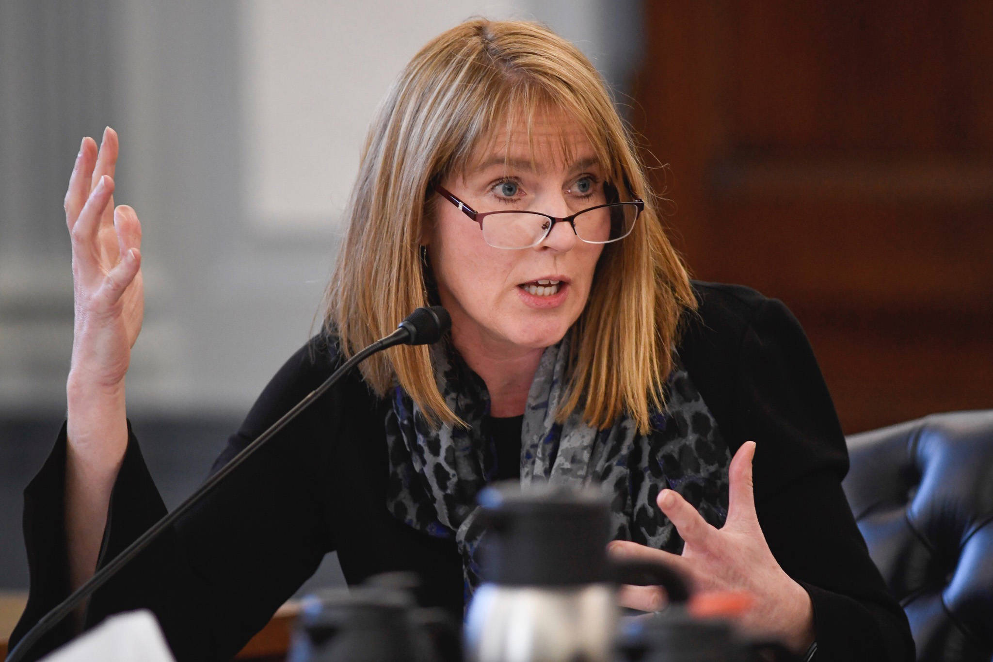 Sen. Natasha Von Imhof, R-Anchorage, co-chair of Senate Finance Committee, asks a question while listening to a presentation by the Department of Education and Early Development at the Capitol, on Monday, Feb. 18, 2019. (Michael Penn | Juneau Empire)