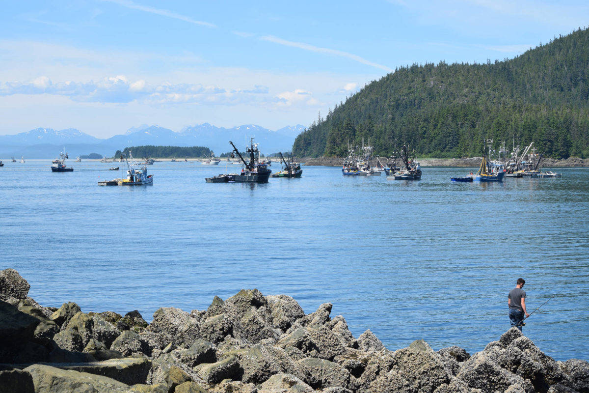 In this July 2018 file photo, Seine boats wait in line to set their nets at Amalga Harbor. (Kevin Gullufsen | Juneau Empire)