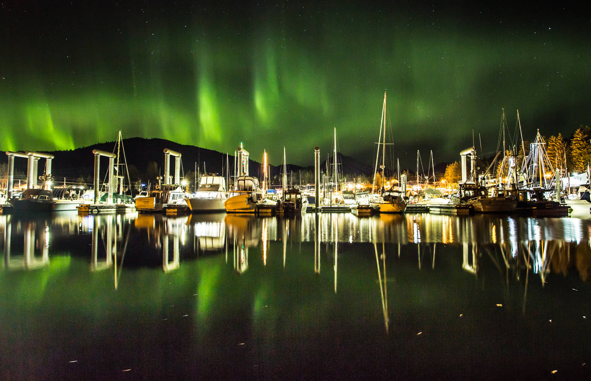 The aurora lights up the night sky over Don D. Statter Memorial Boat Harbor on Feb. 28, 2019. (Courtesy Photo | Jack Beedle)