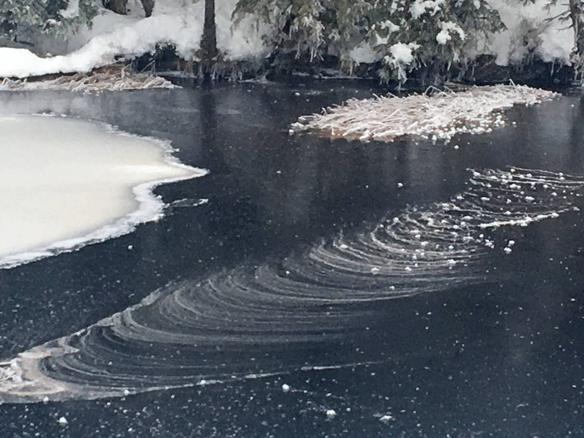 Icy swirls near a broken beaver dam on Peterson Creek., Jan. 18, 2019. (Courtesy Photo | Denise Carroll)