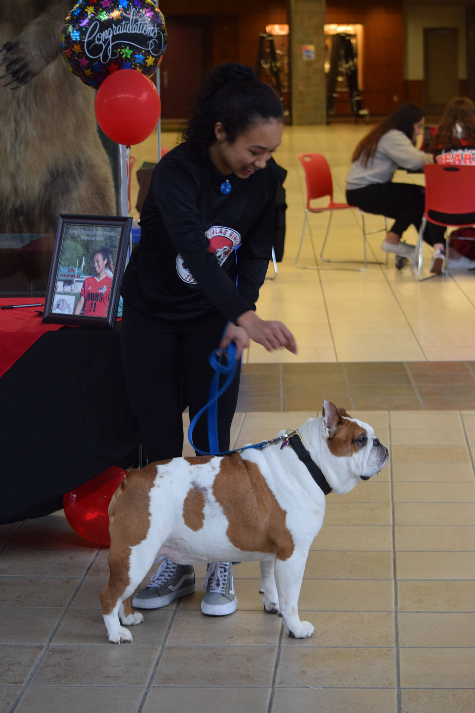 Juneau-Douglas High School senior Malia Miller tries to get the attention of a friend’s bulldog, “Wallace.” Miller signed a National Letter of Intent with the Bellevue College Bulldogs at the JDHS commons on Thursday, March 14, 2019. (Nolin Ainsworth | Juneau Empire)
