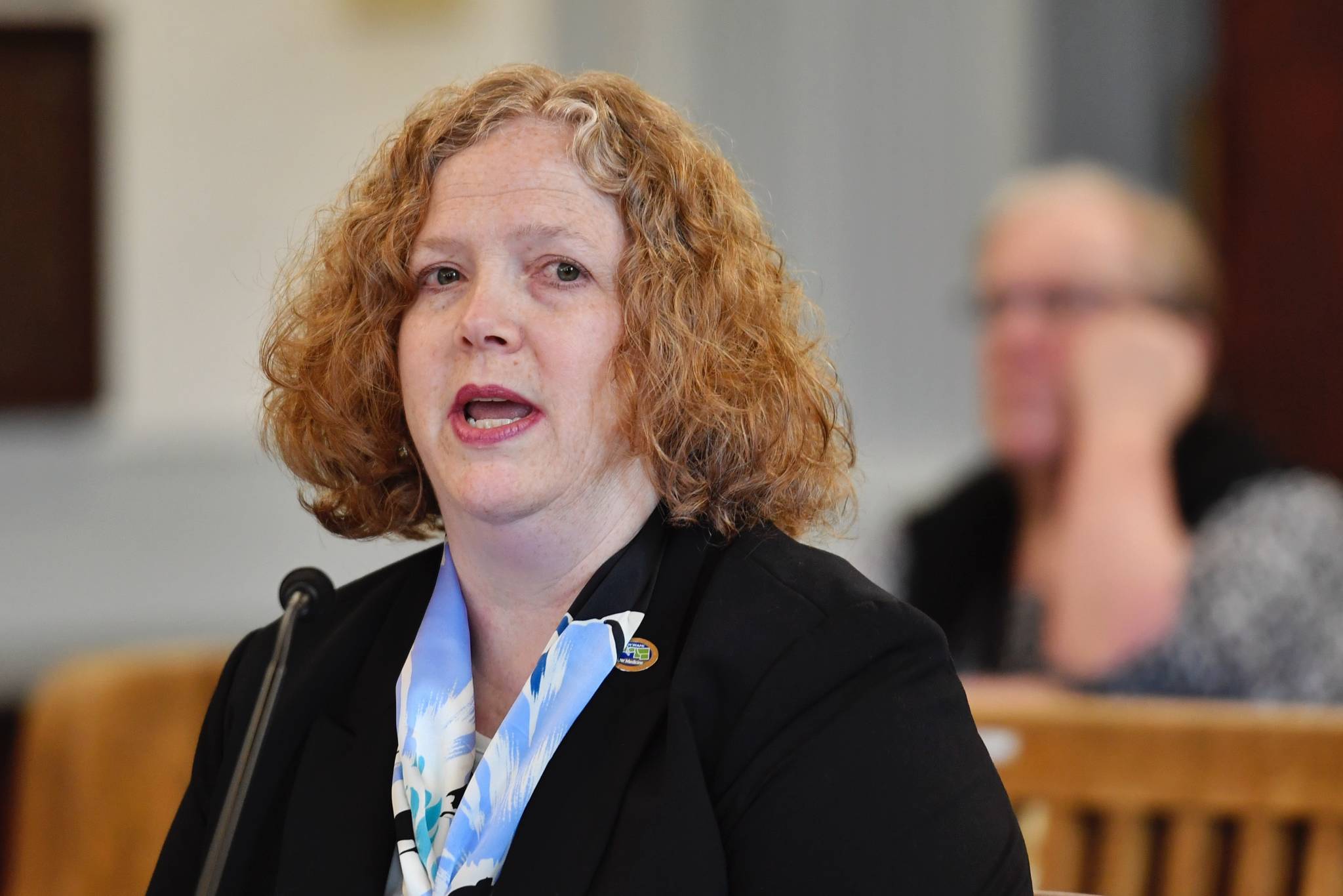 Dr. Suzanne Allen, from Boise, Idaho, gives an overview of the WWAMI School of Medical Education program to the Senate Finance Committee at the Capitol on Monday, March 25, 2019. (Michael Penn | Juneau Empire)