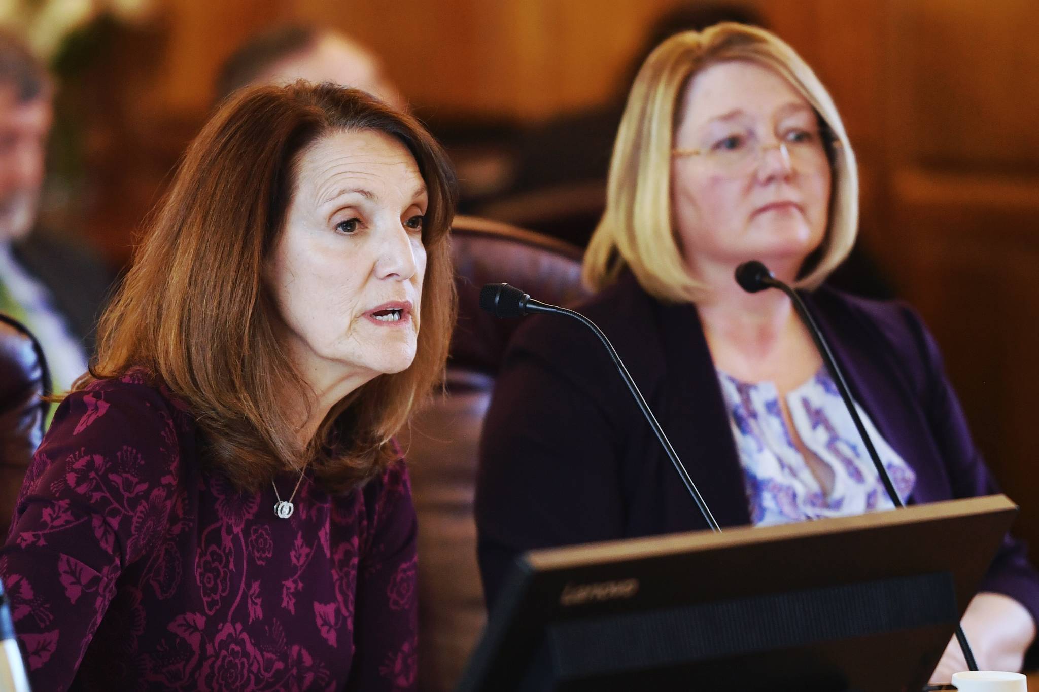 Dana Efird, Administrative Services Director for the Department of Health and Social Services, left, and Deputy Commissioner Donna Steward give an overview of the budget for Medicaid Services to the House Finance Committee on Wednesday, March 27, 2019. (Michael Penn | Juneau Empire)