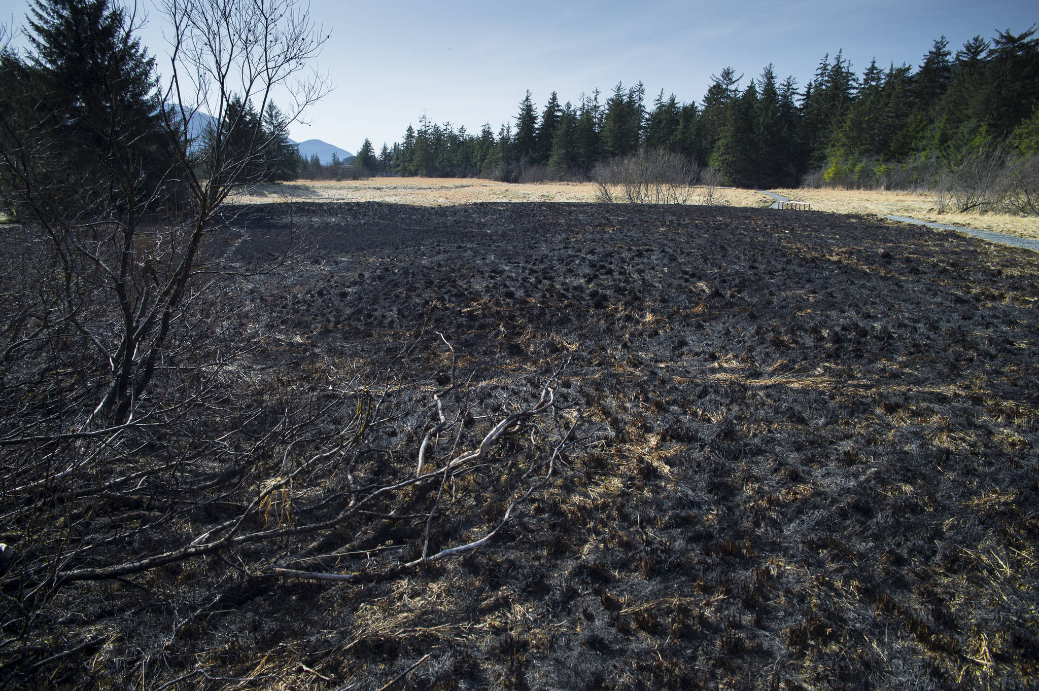 A 400-foot by 400-foot area of burned grass area next to the Davis Meadows Trail in Switzer Creek on Tuesday, April 2, 2019. The fire was reported on Sunday, March 31, and put out by Capital City Fire/Rescue. (Michael Penn | Juneau Empire)