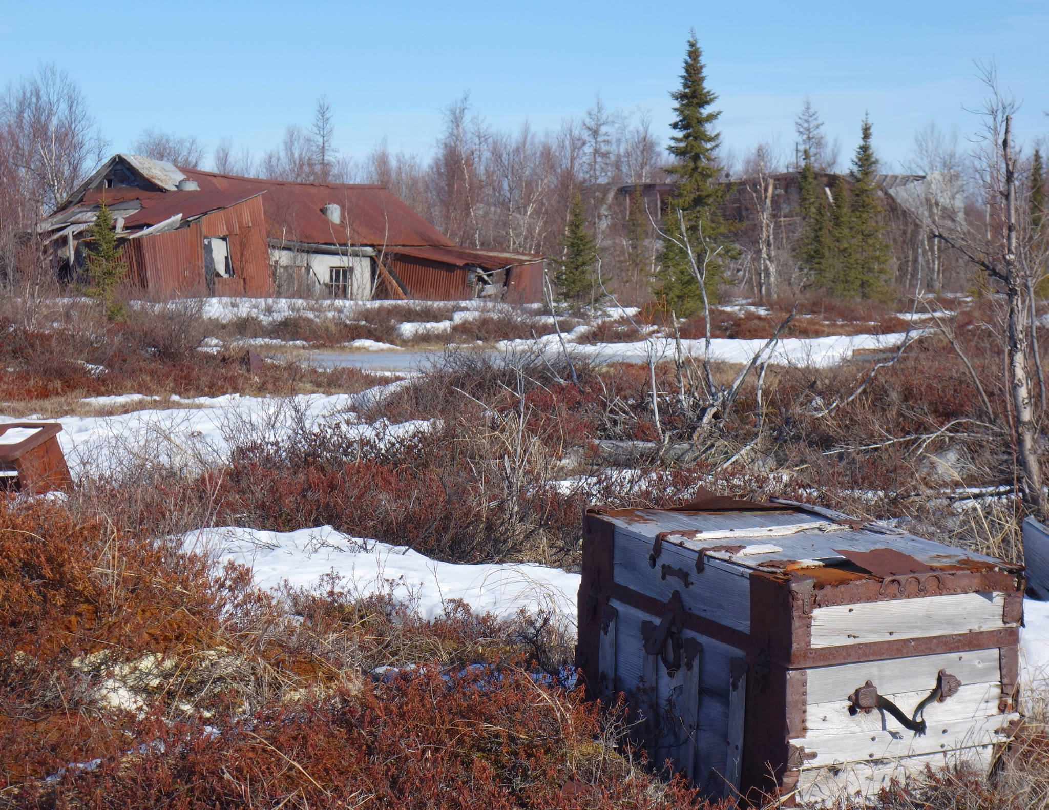 A travel trunk on the tundra in the ghost town of Iditarod. (Courtesy Photo | Ned Rozell)