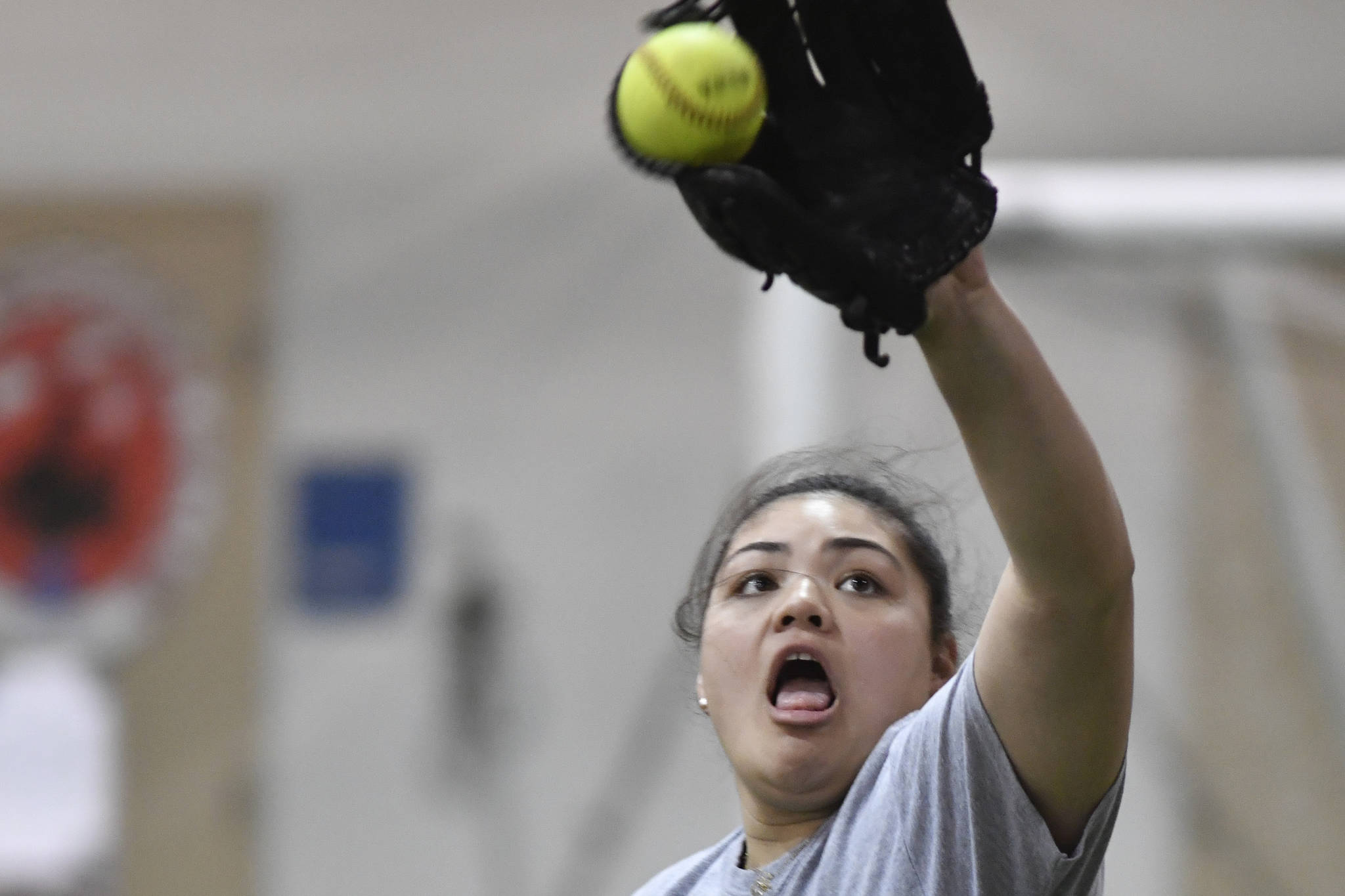 2019 Softball and Baseball Preview: Falcons softball chases another banner