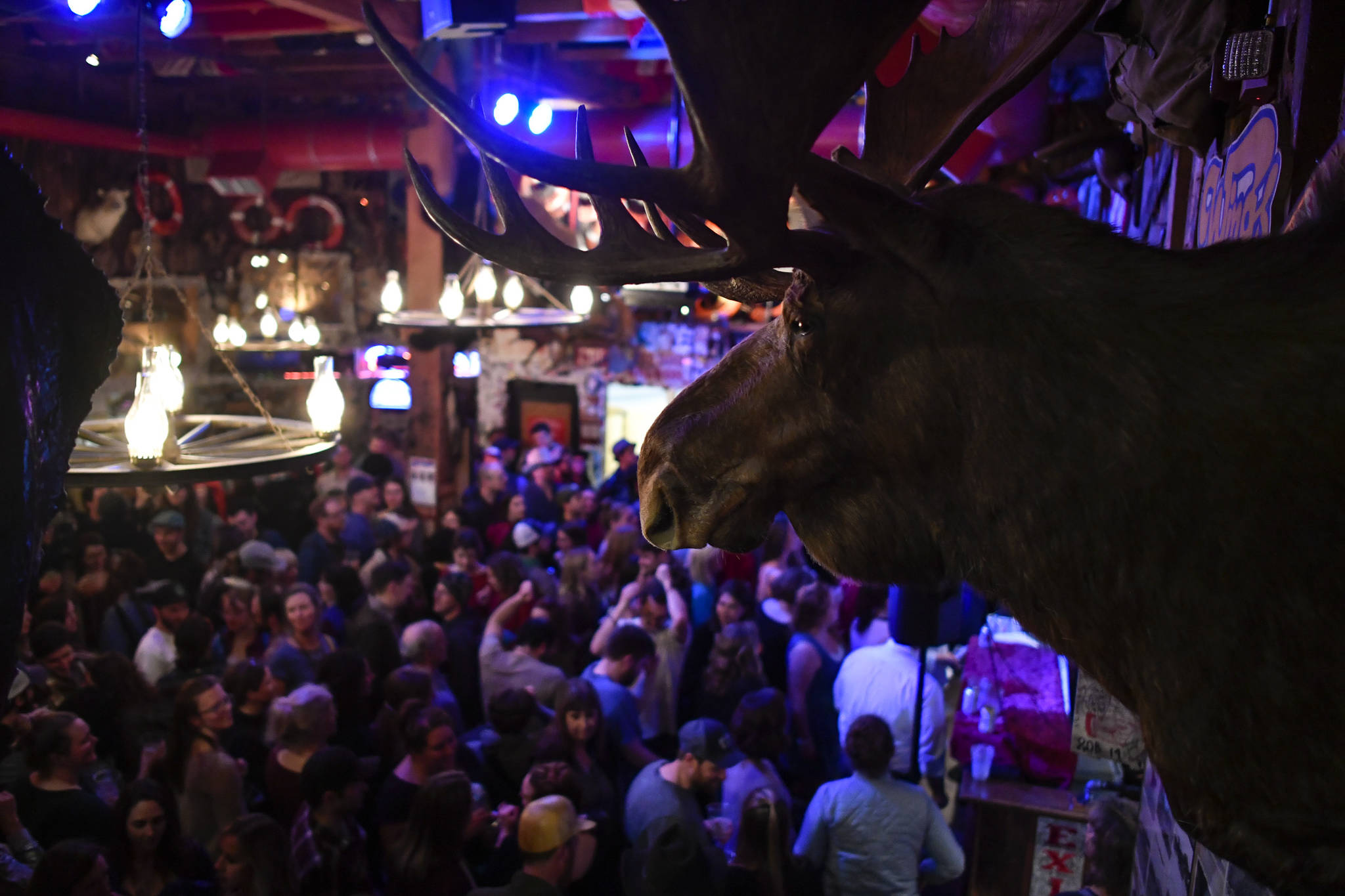 Bar patrons and music lovers dance to Goldwing at the Red Dog Saloon during Alaska Folk Festival week on Friday, April 12, 2019. (Michael Penn | Juneau Empire)