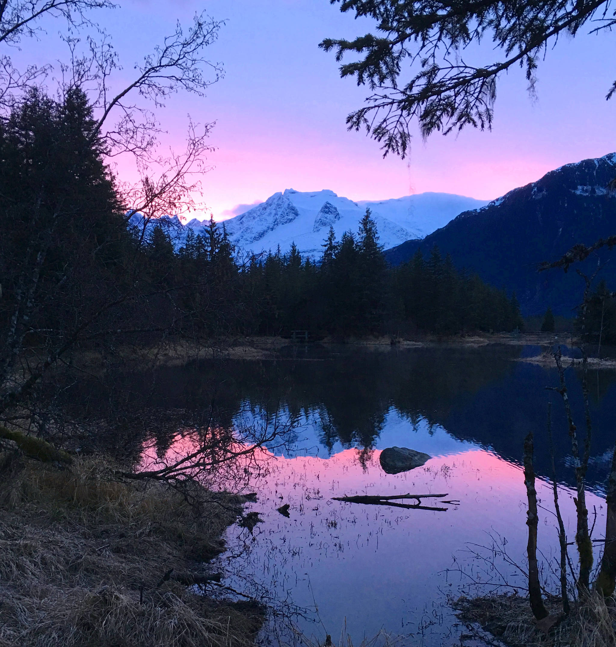 A pink sky dawns over the Mendenhall Glacier on April 25, 2019. (Courtesy Photo | Linda Shaw)