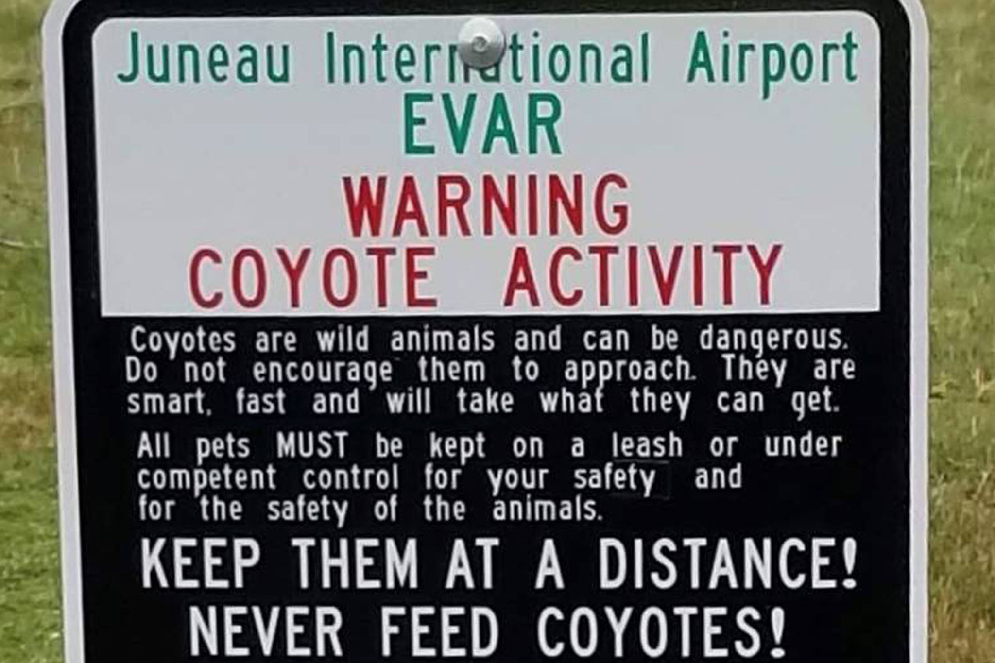 Yes, that Wile E. Coyote airport sign is real