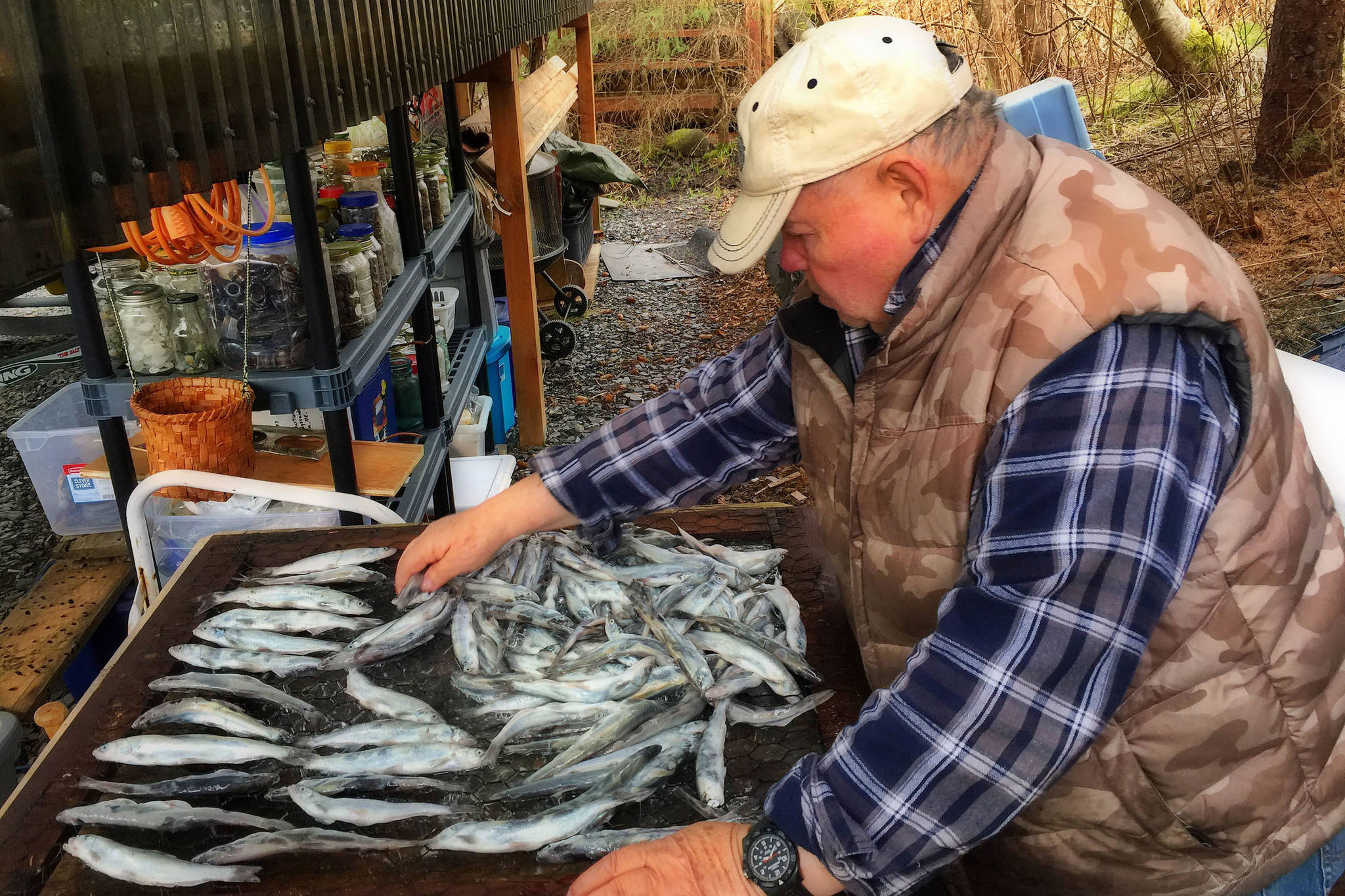 Planet Alaska: A bunch of hooligans at fishcamp