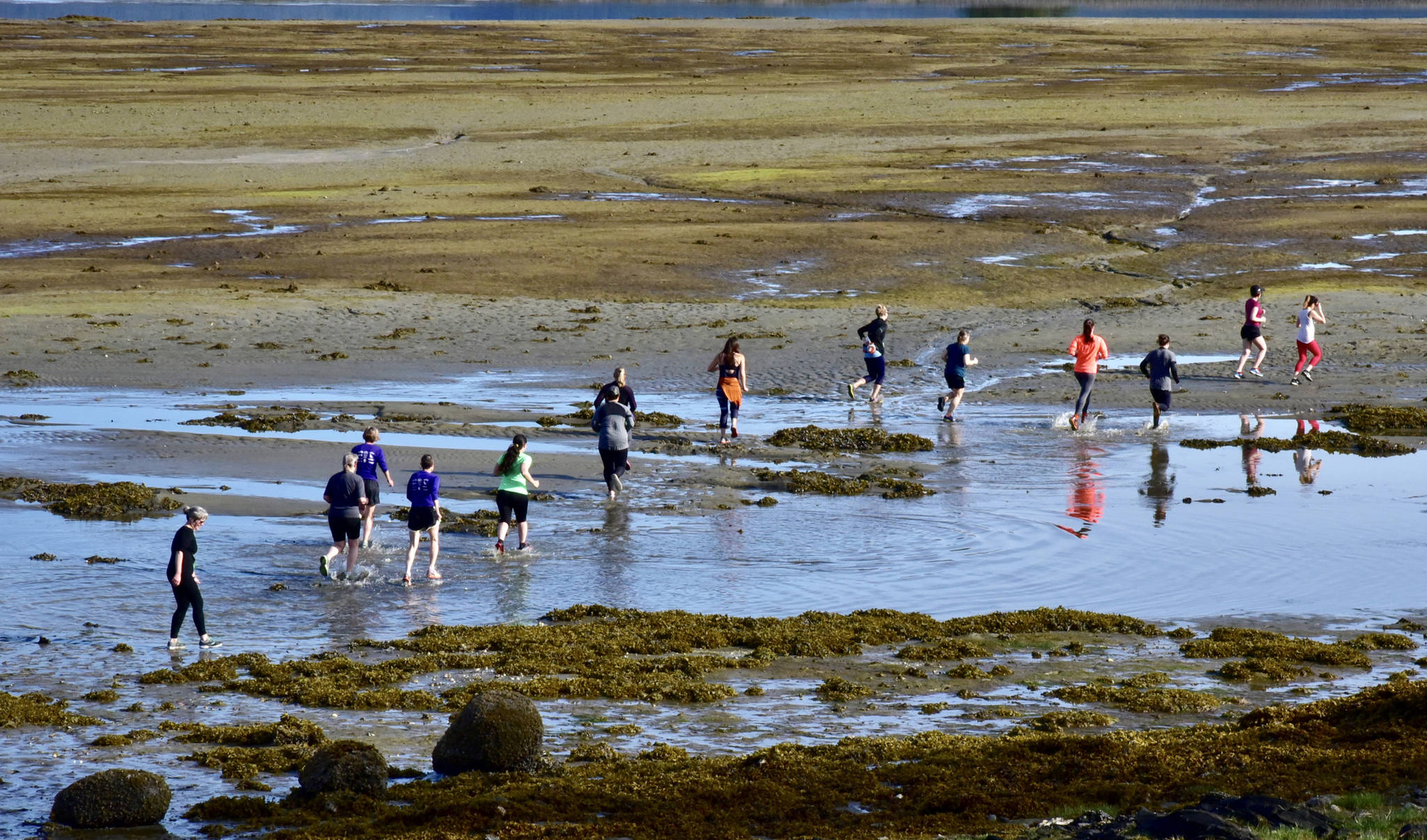 Runners compete in the Spring Tide Scramble at Fish Creek Park in Juneau, Alaska on Sunday, May 19, 2019. (Courtesy Photo | Susan Cable)