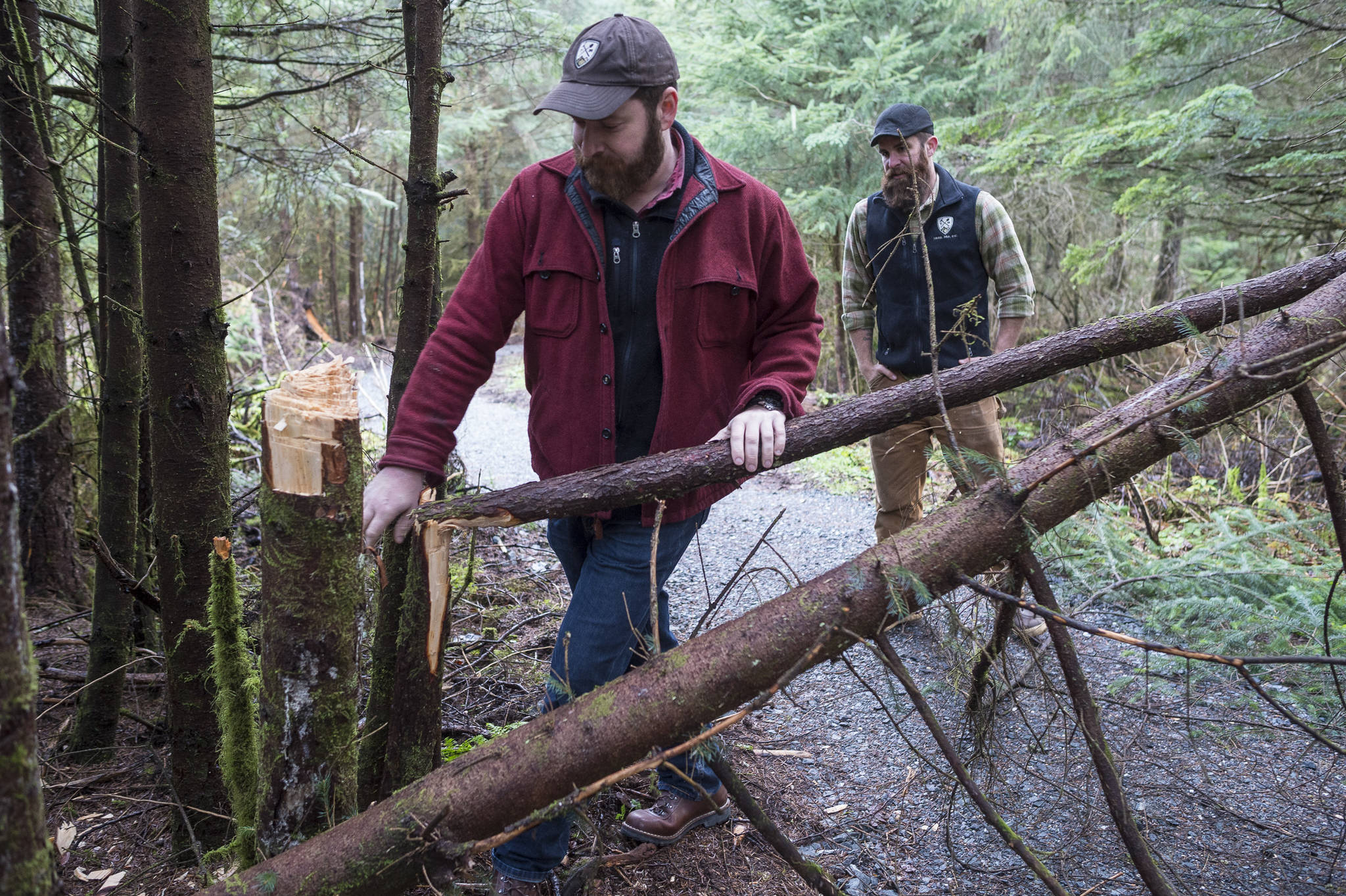 Erik Boraas, executive director of Trail Mix, Inc., left, and Ryan O’Shaughnessy come along vandalism along the newly reworked Davis Meadows Trail in Switzer Creek on Monday, Nov. 12, 2018. (Michael Penn | Juneau Empire File)