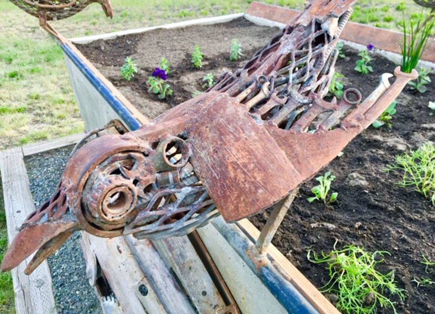 A decorative bird made of wrenches, bolts and assorted tools perches on a garden bed in Haines Junction on May 29, 2019. (Courtesy Photo | Denise Carroll)