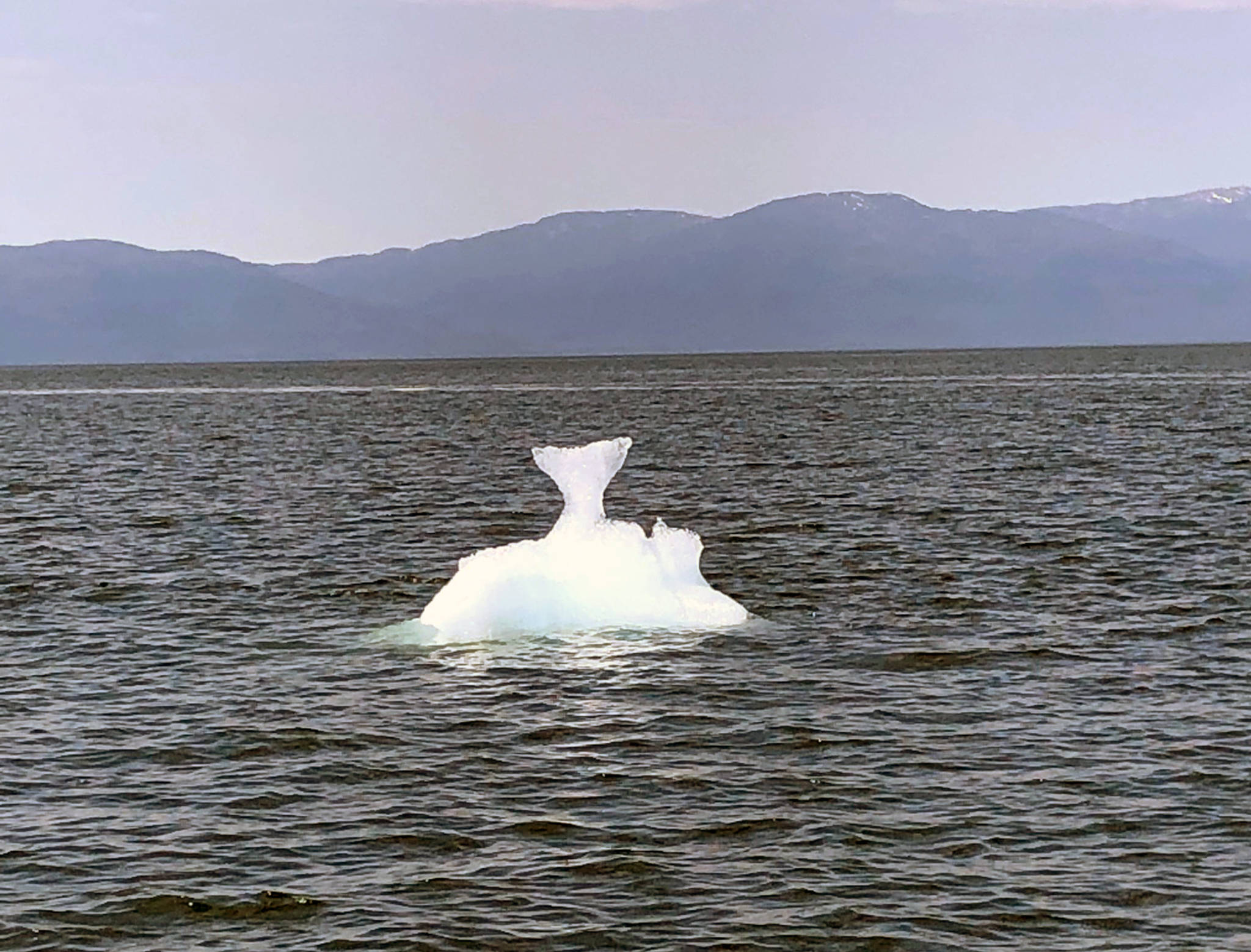 A fish tail iceberg floats in Holkham Bay on May 27, 2019. (Courtesy Photo | Kim Garnero)
