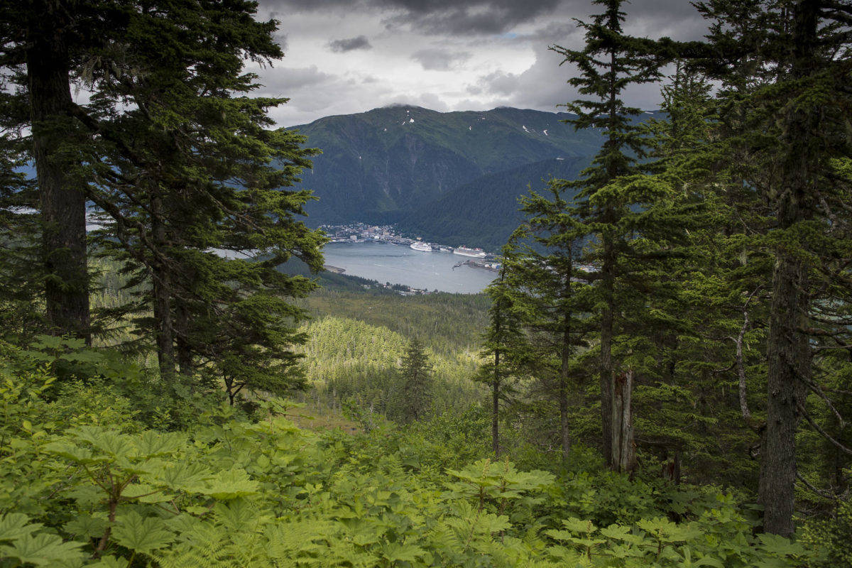 Downtown Juneau as seen from the Mount Bradley Trail in July 2017. (Michael Penn | Juneau Empire File)