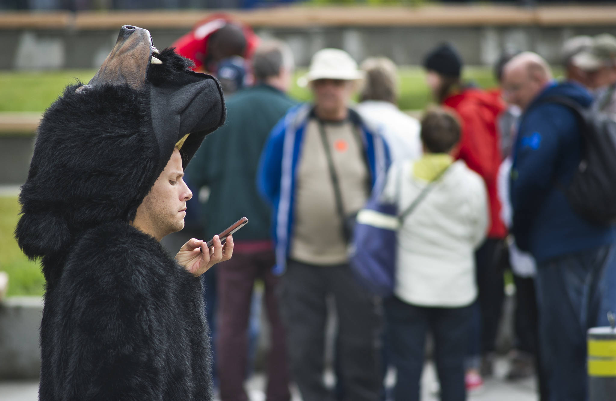A bear-costumed employee from Holland America Line’s Noordam cruise ship checks his phone between sessions being photographed with arriving visitors at Marine Park in this June 2015 photo. 5G mobile network service which GCI announced Tuesday is coming to Alaska, will result in faster device speeds. (Michael Penn | Juneau Empire File)
