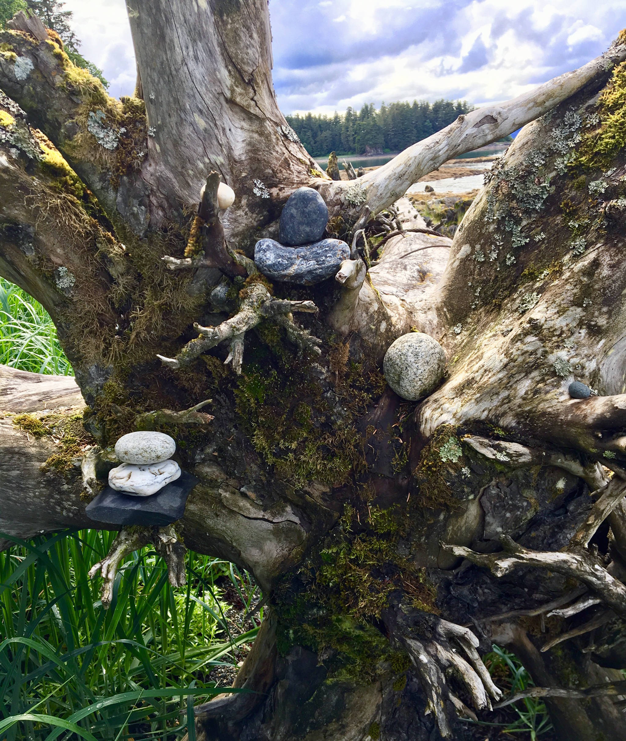 Mini cairns decorate a piece of driftwood at Outer Point on June 23, 2019. (Courtesy photo | Denise Carroll)