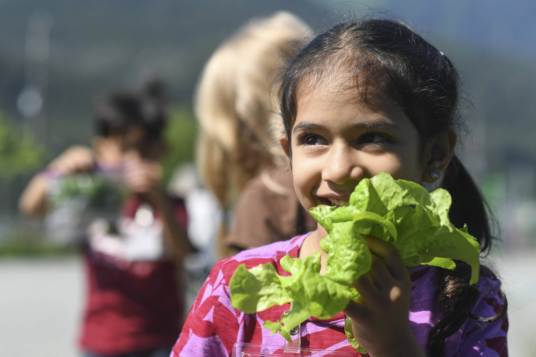 Gina Athwani eats fresh lettuce grown through support from the Farm to School program at Harborview Elementary School on Wednesday, June 26, 2019. (Michael Penn | Juneau Empire)