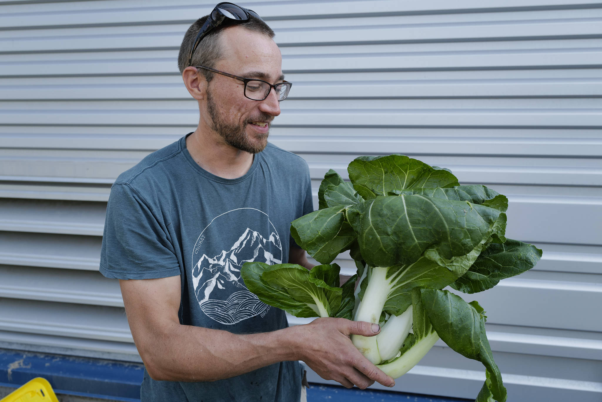 Master gardener Joel Bos holds bok choy grown with support from the Farm to School program at Harborview Elementary School on Wednesday, June 26, 2019. (Michael Penn | Juneau Empire)