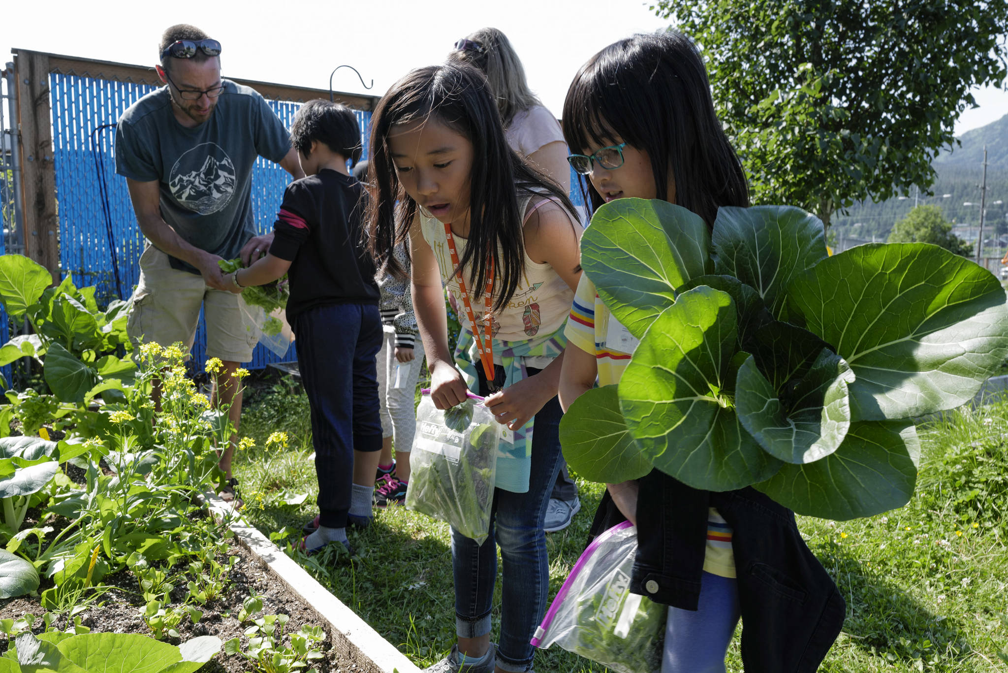 Elyzsa Sapinoso, left, and Emery Marte look at the garden as Master gardener Joel Bos helps student harvest plants at Harborview Elementary School on Wednesday, June 26, 2019. (Michael Penn | Juneau Empire)
