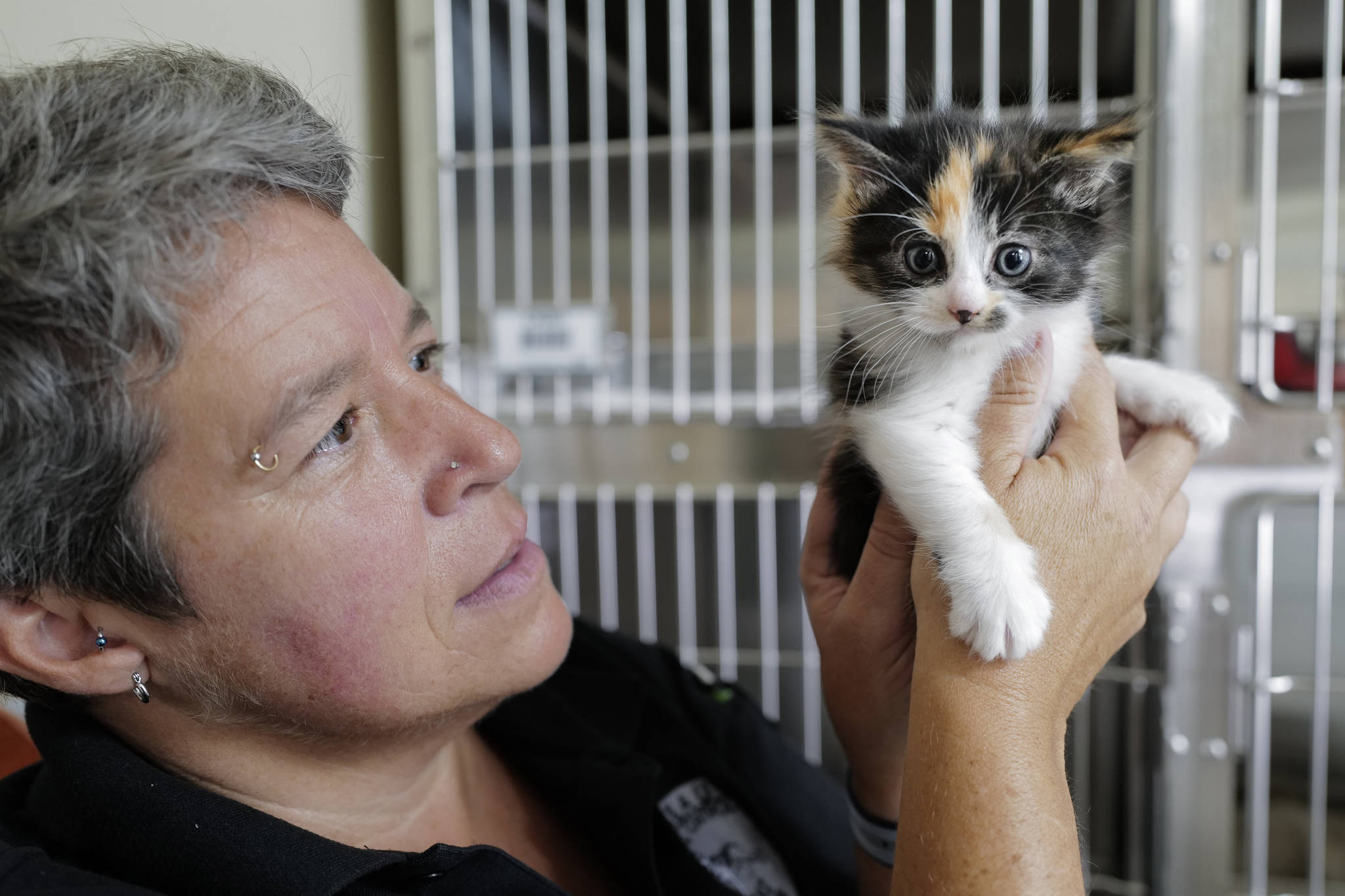 Juneau Animal Rescue Animal Control Officer Karen Wood holds up a 5-week-old kitten on Tuesday, July 2, 2019. (Michael Penn | Juneau Empire)