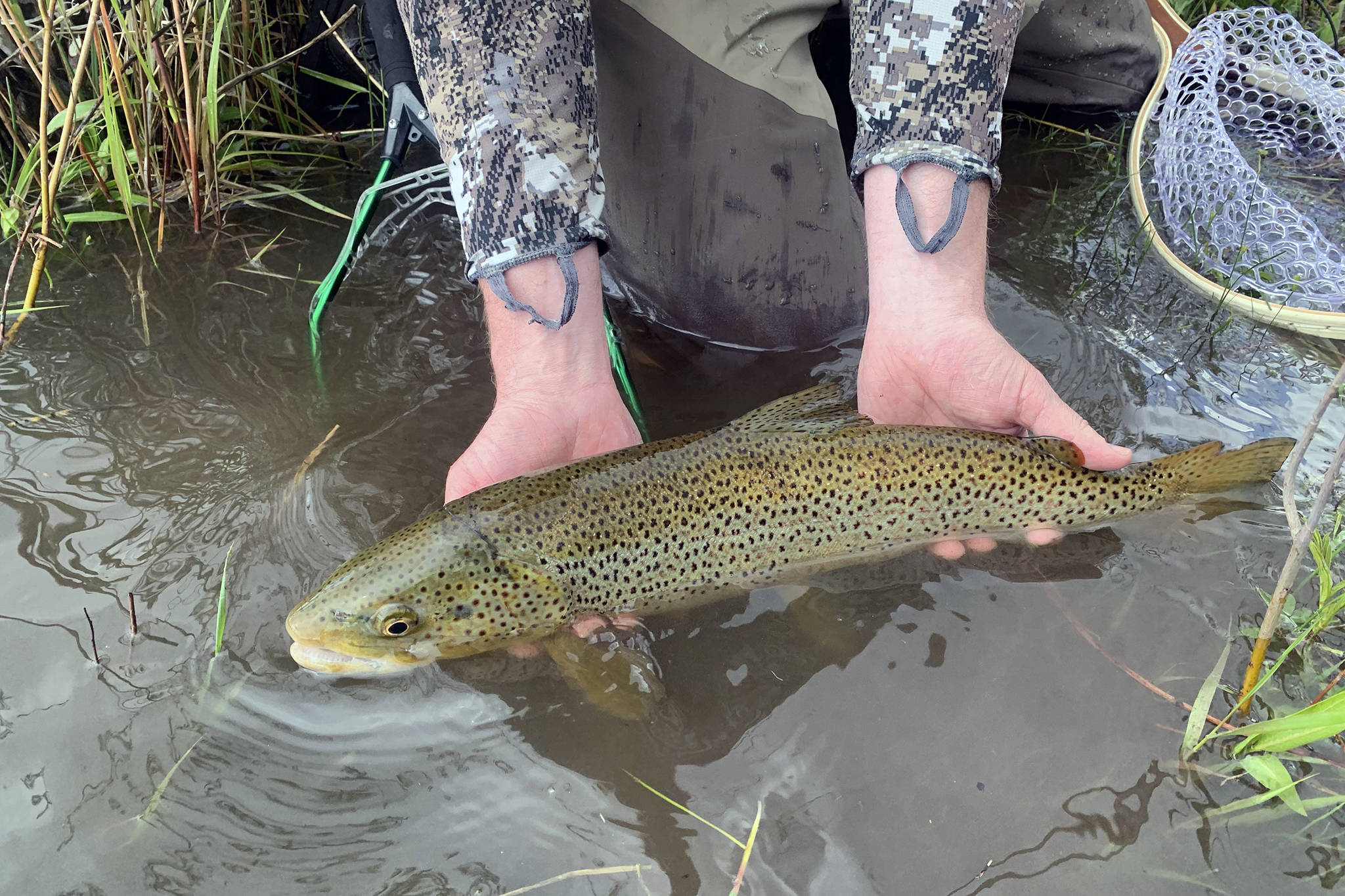 The author is playing the role of traveling angler, trying to get the best of what Wyoming has to offer, while others head to Alaska for the fish of a lifetime. (Courtesy photo | Jeff Lund)