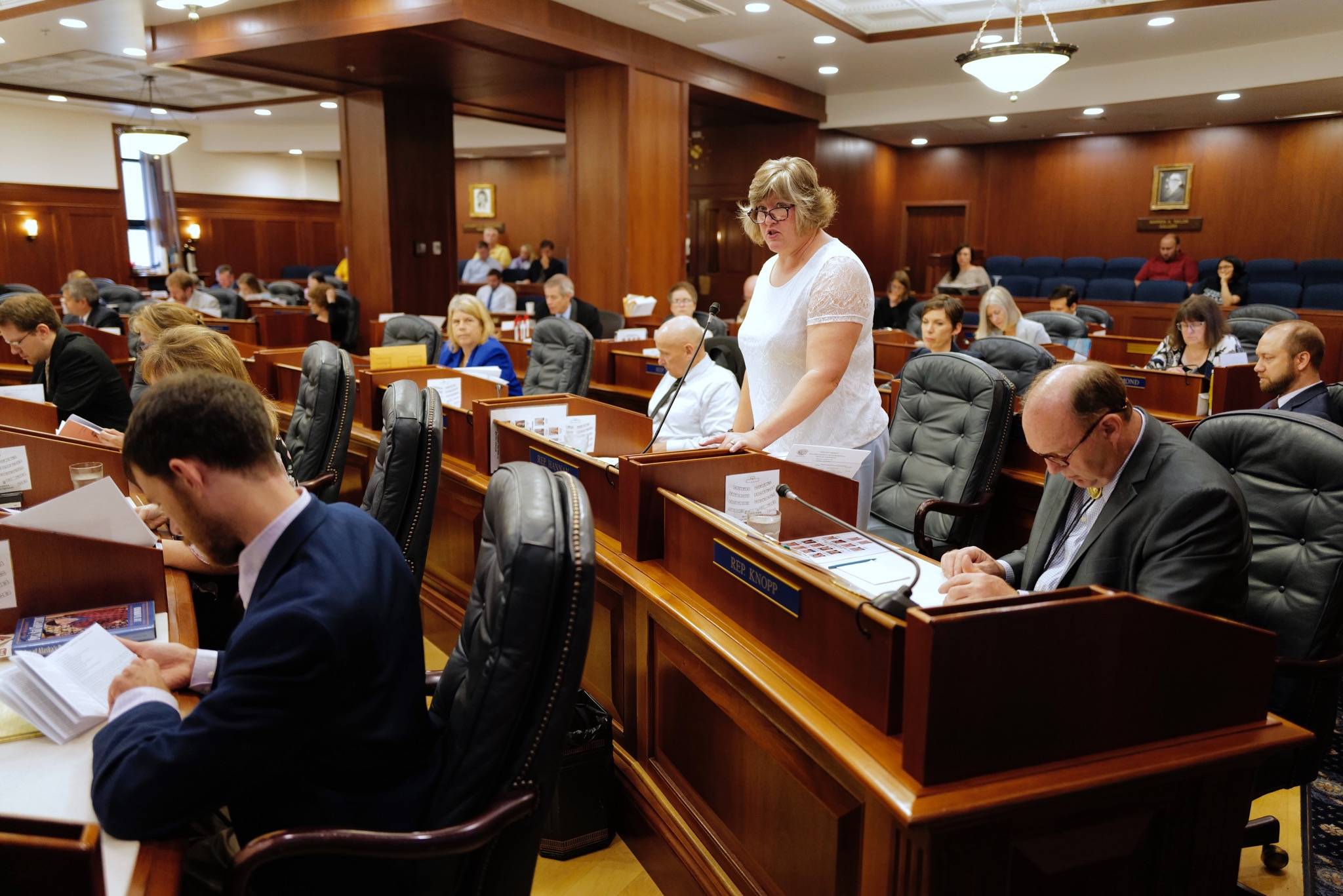 Rep. Sara Hannan, D-Juneau, speaks in favor of HB 2002 on a reconsideration vote at the Capitol on Monday, July 22, 2019. (Michael Penn | Juneau Empire)