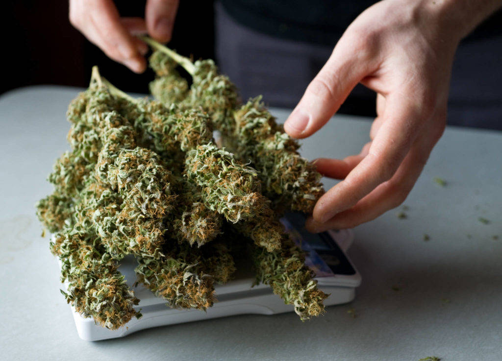 About 2.5 ounces of dried marijuana in Juneau. (Michael Penn | Juneau Empire File)