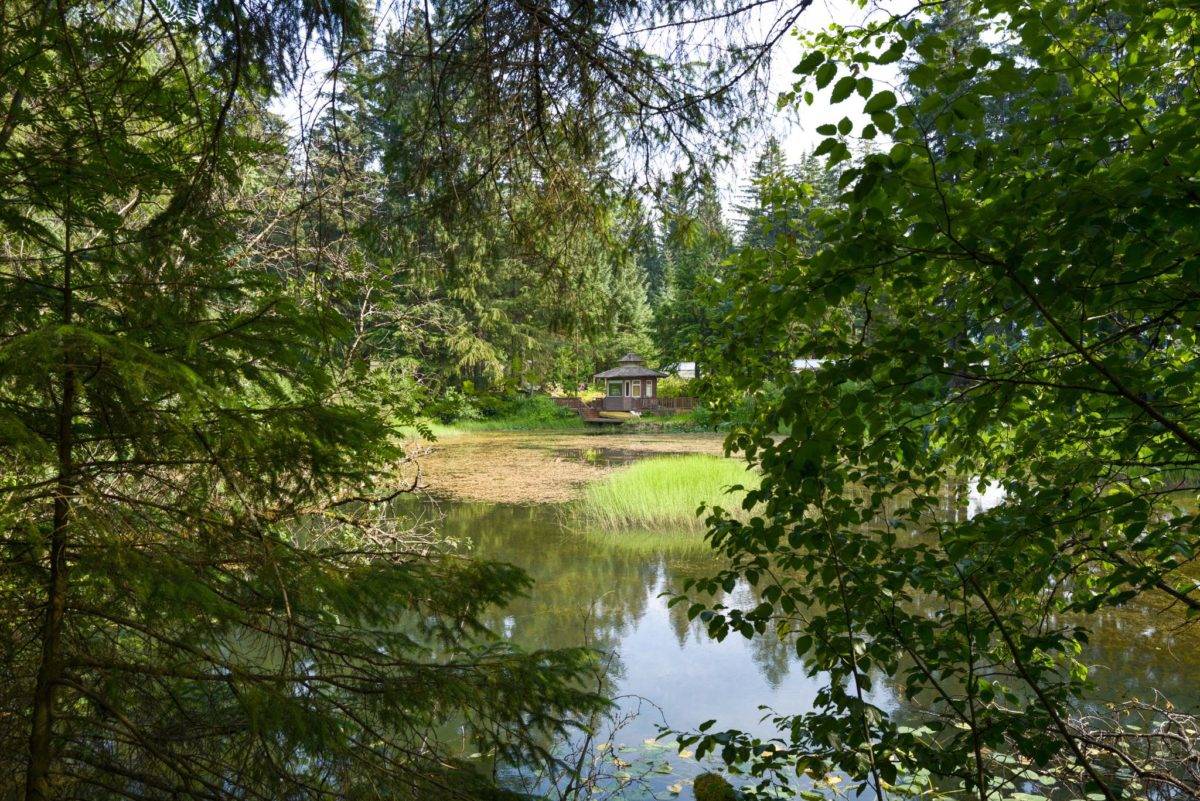 Juneau police ID person found deceased in pond