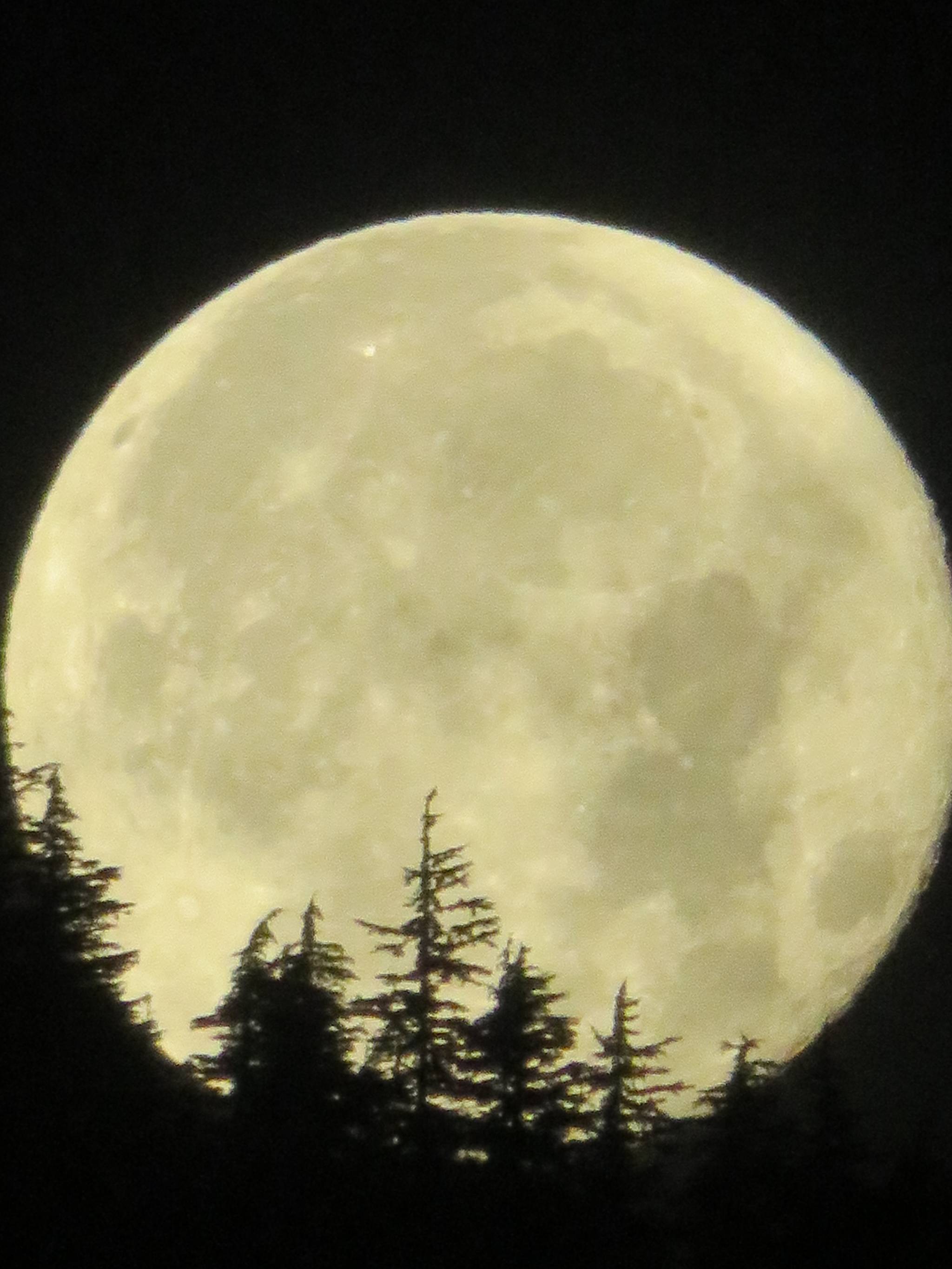 The moon sets over Juneau on Thursday, Aug. 15, 2019. (Courtesy Photo | Roy Santoro)