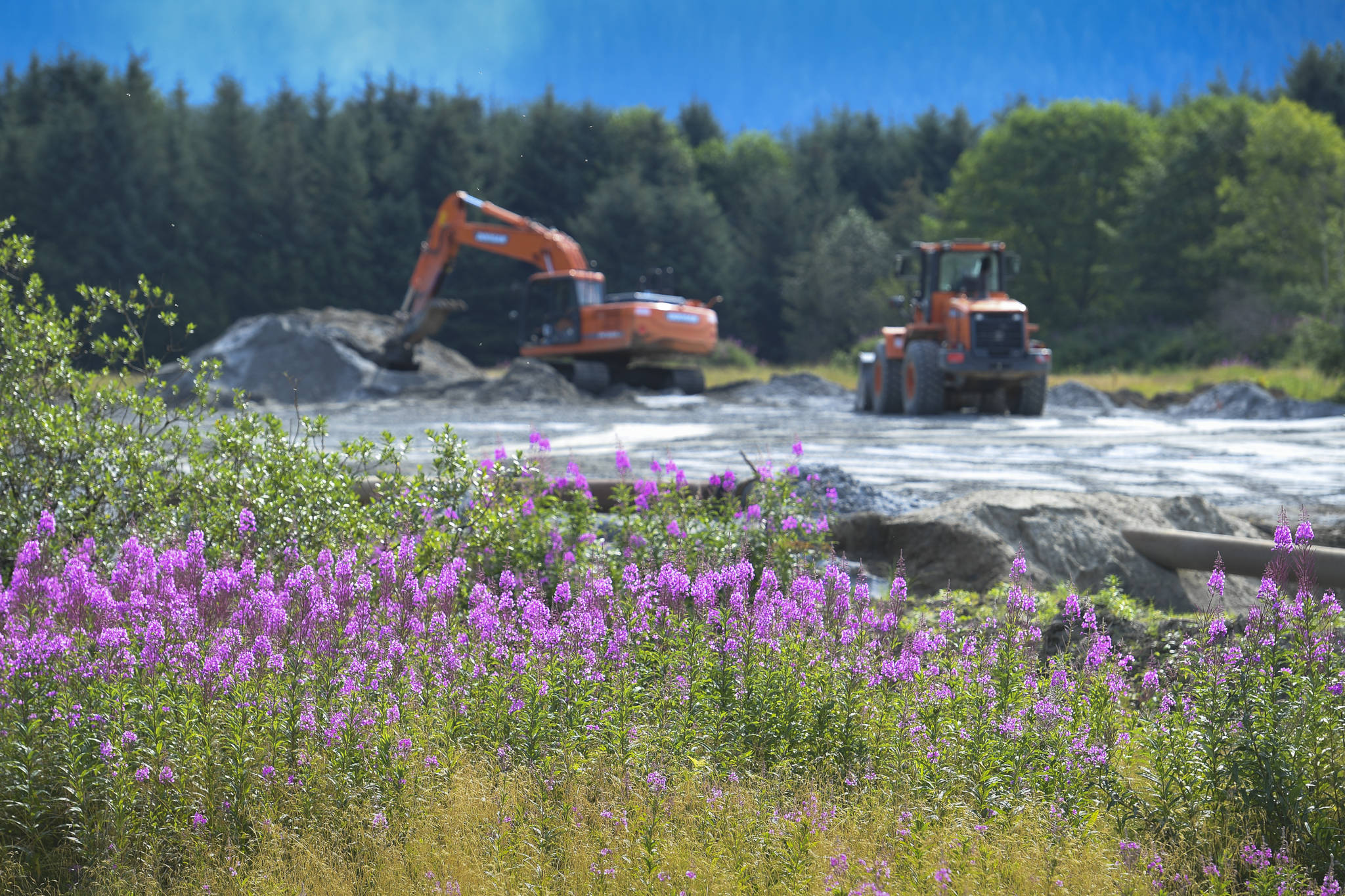 Construction work on land owned by Bicknell, Inc., at Honsinger Pond also known as the Field of Fireweed on Monday, July 22, 2019. Right now, work is focused on a 16-acre portion of a roughly 50-acre parcel. (Michael Penn | Juneau Empire)