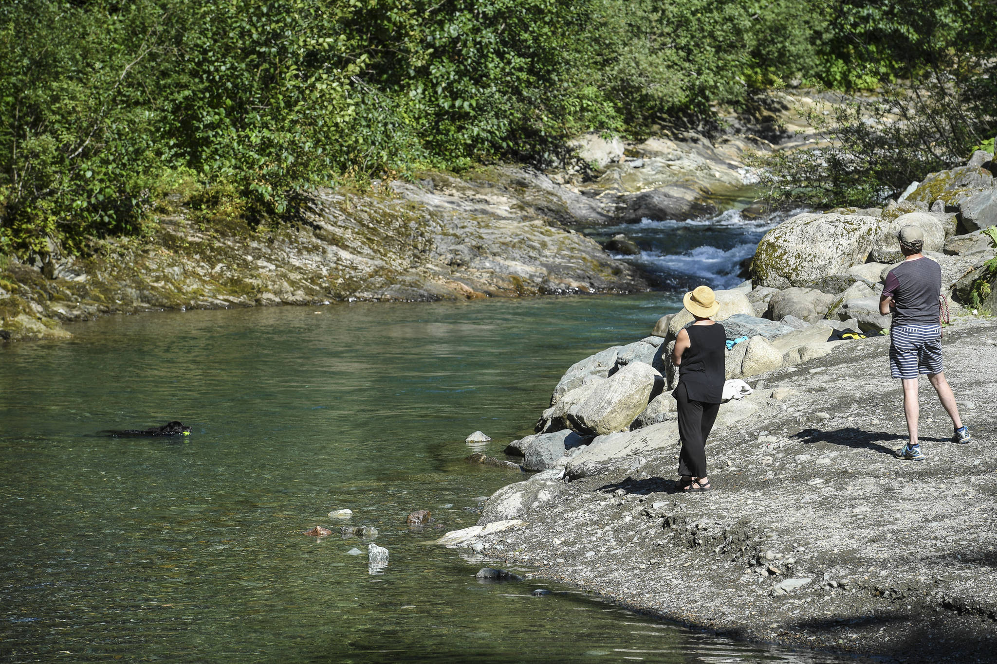 Marta Lastufka and her husband, Michael Bucy, watch their dog, Mo, swim in Gold Creek at Cope Park on Tuesday, Aug. 6, 2019. (Michael Penn | Juneau Empire)