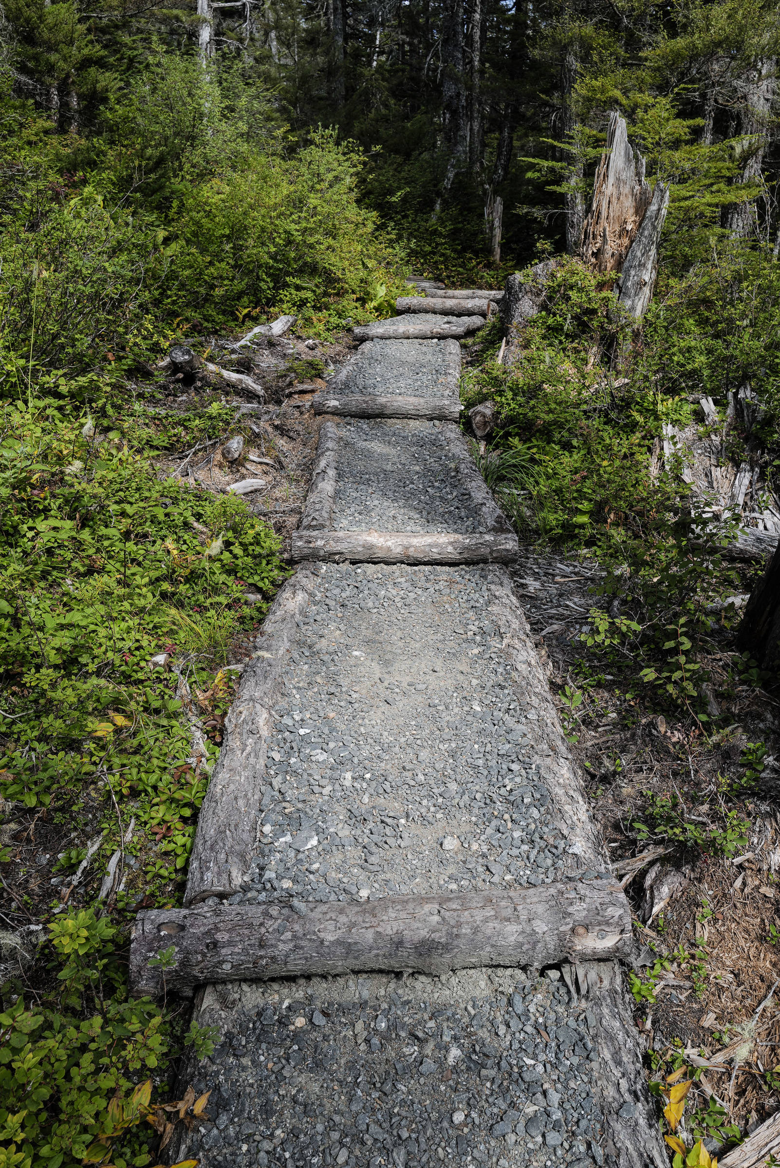 New turnpike construction on the Auke Nu Trail on the way to the John Muir Cabin on Wednesday, Aug. 7, 2019. (Michael Penn | Juneau Empire)