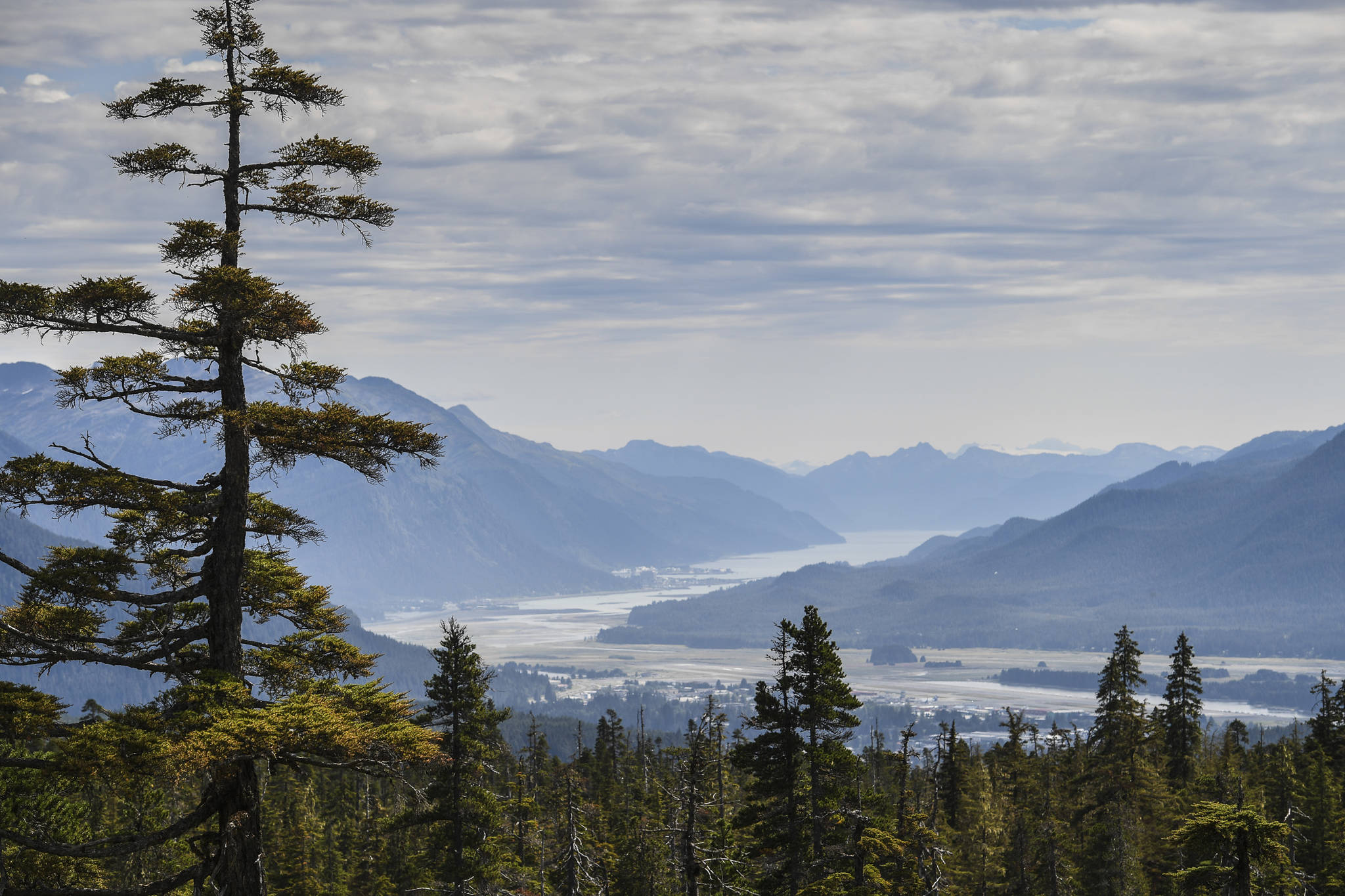 The view of Gasitneau Channel and Juneau from near the John Muir Cabin on Wednesday, Aug. 7, 2019. (Michael Penn | Juneau Empire)