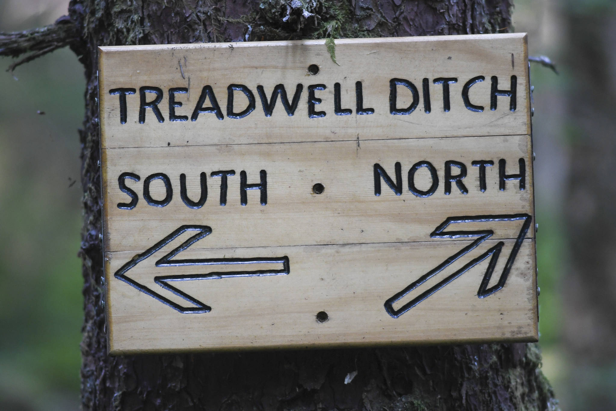 Signage to the Treadwell Ditch Trail. (Michael Penn | Juneau Empire)