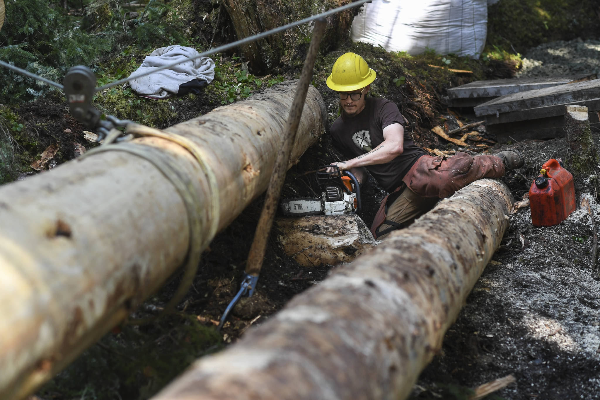 Duncan Campbell, of Trail Mix, works on a log bridge for a new Treadwell Gorge reroute trail on the Treadwell Ditch Trail on Thursday, Aug. 8, 2019. (Michael Penn | Juneau Empire)