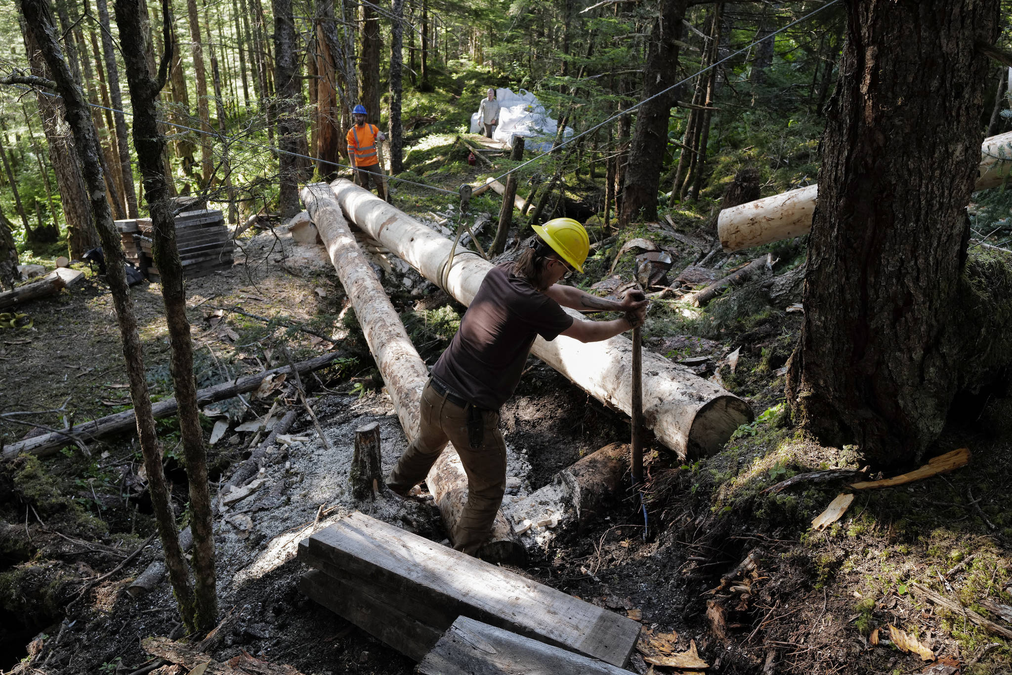 Crew leader Duncan Campbell, right, and Trail Mix Project Manager Ryan O’Shaughnessy work on a log bridge for a new Treadwell Gorge reroute trail on the Treadwell Ditch Trail on Thursday, Aug. 8, 2019. (Michael Penn | Juneau Empire)