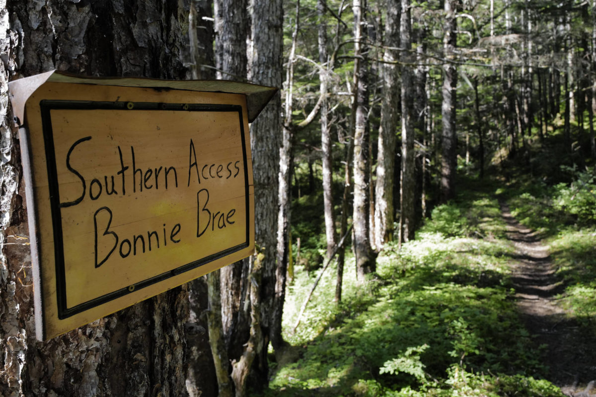 Video Trail Mix Inc. reroutes part of Treadwell Ditch 08/12/2019