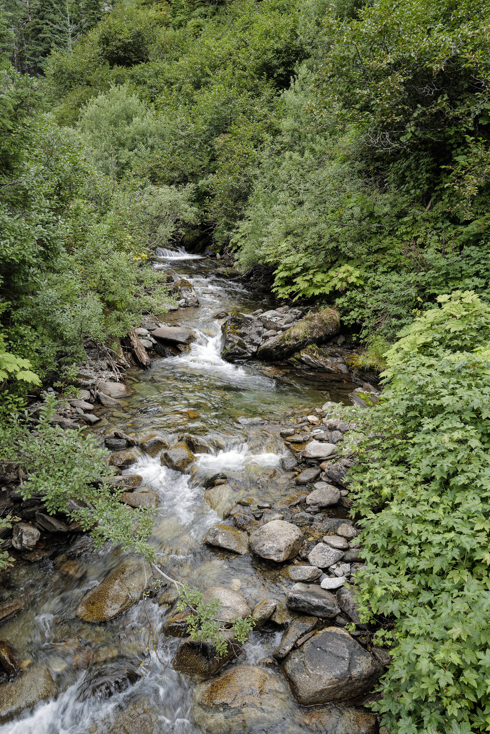 Granite Creek from a Perseverance Trail bridge on Wednesday, Aug. 14, 2019. (Michael Penn | Juneau Empire)