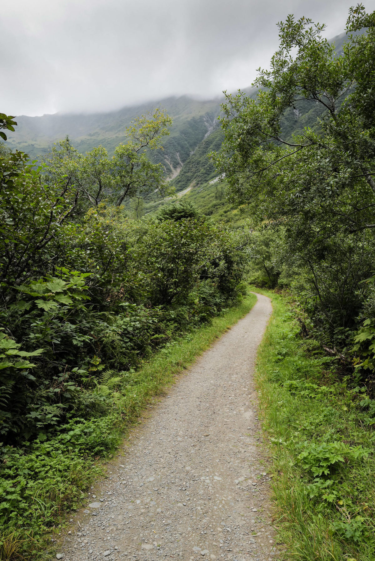 Now you see it, now you don’t Trail Mix removes 4ton boulder from