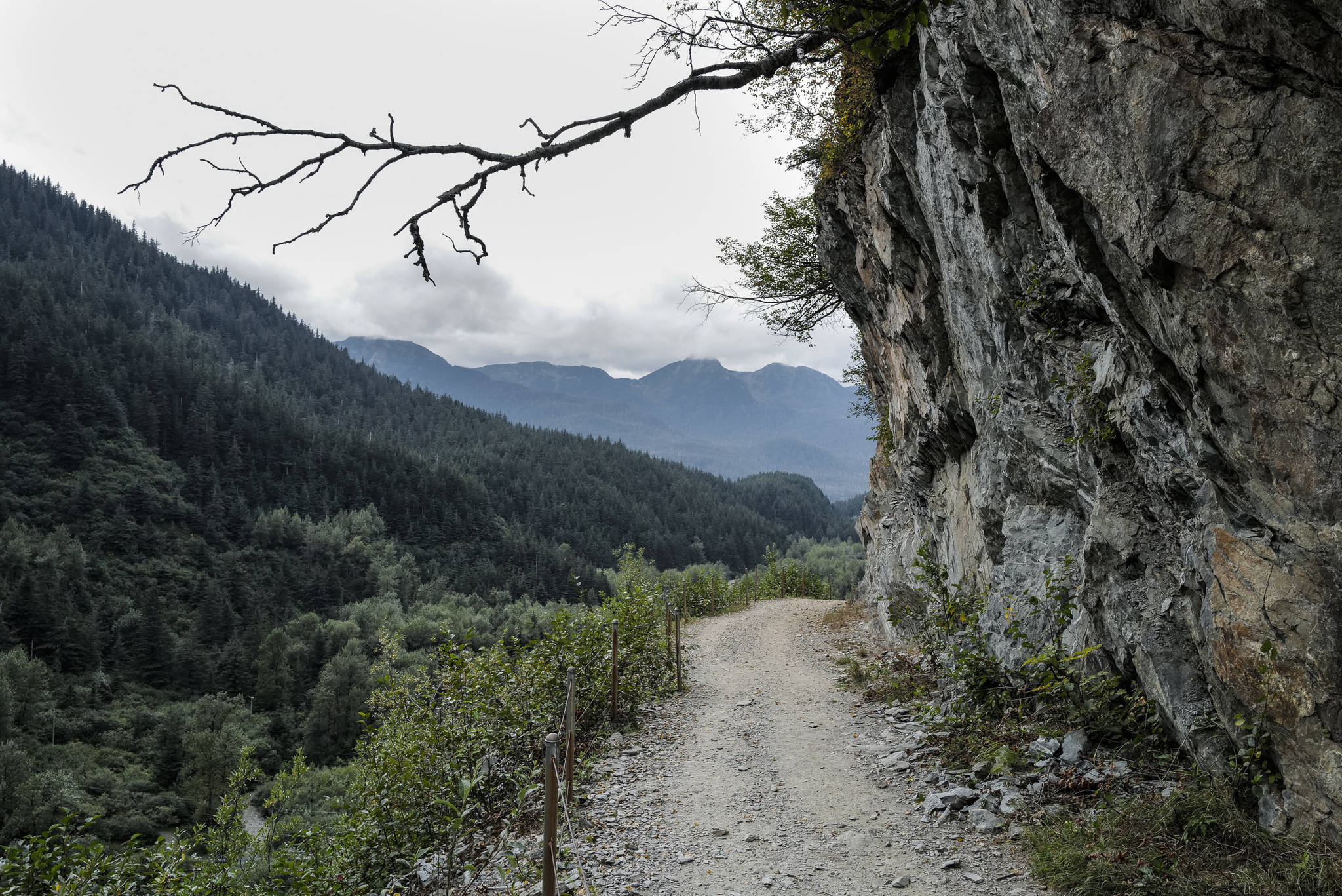 Perseverance Trail on Wednesday, Aug. 14, 2019. (Michael Penn | Juneau Empire)