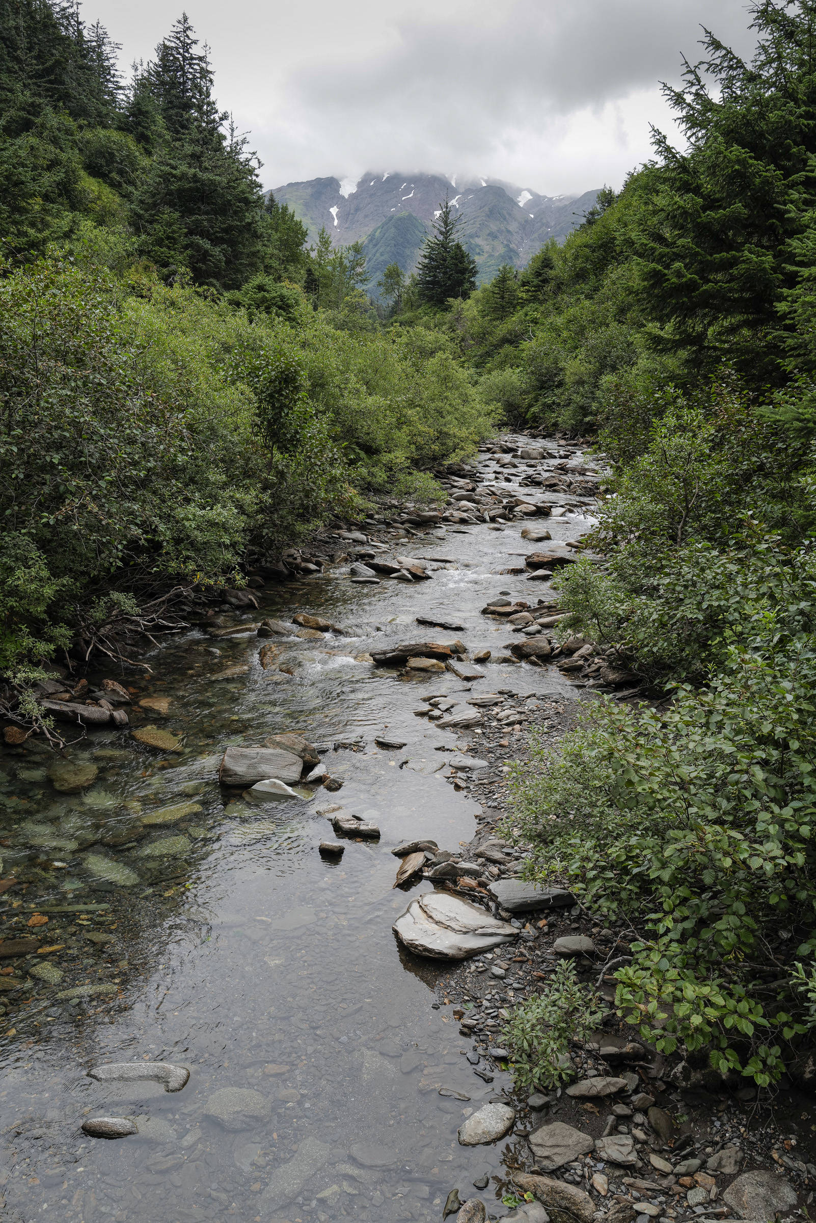 Gold Creek seen from a Perseverance Trail bridge on Wednesday, Aug. 14, 2019. (Michael Penn | Juneau Empire)