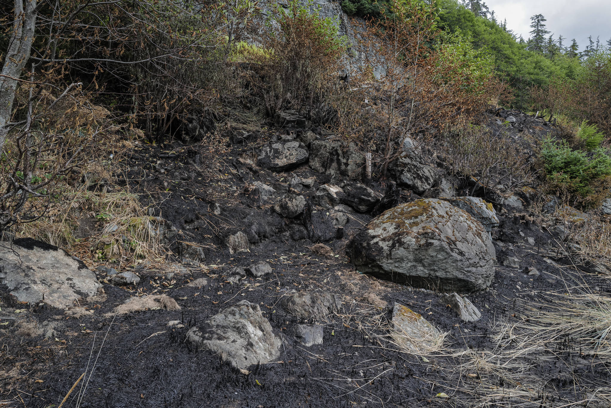 Fire damage at Sunshine Cove covers about one-half acre on Monday, Aug. 19, 2019. Capital City Fire/Rescue reports they responded to a wildfire at Sunshine Cove Friday night. Fireworks found on the scene are the suspected cause of the fire according to Capital City Fire/Rescue Assistant Chief Chad Cameron. (Michael Penn Juneau Empire)
