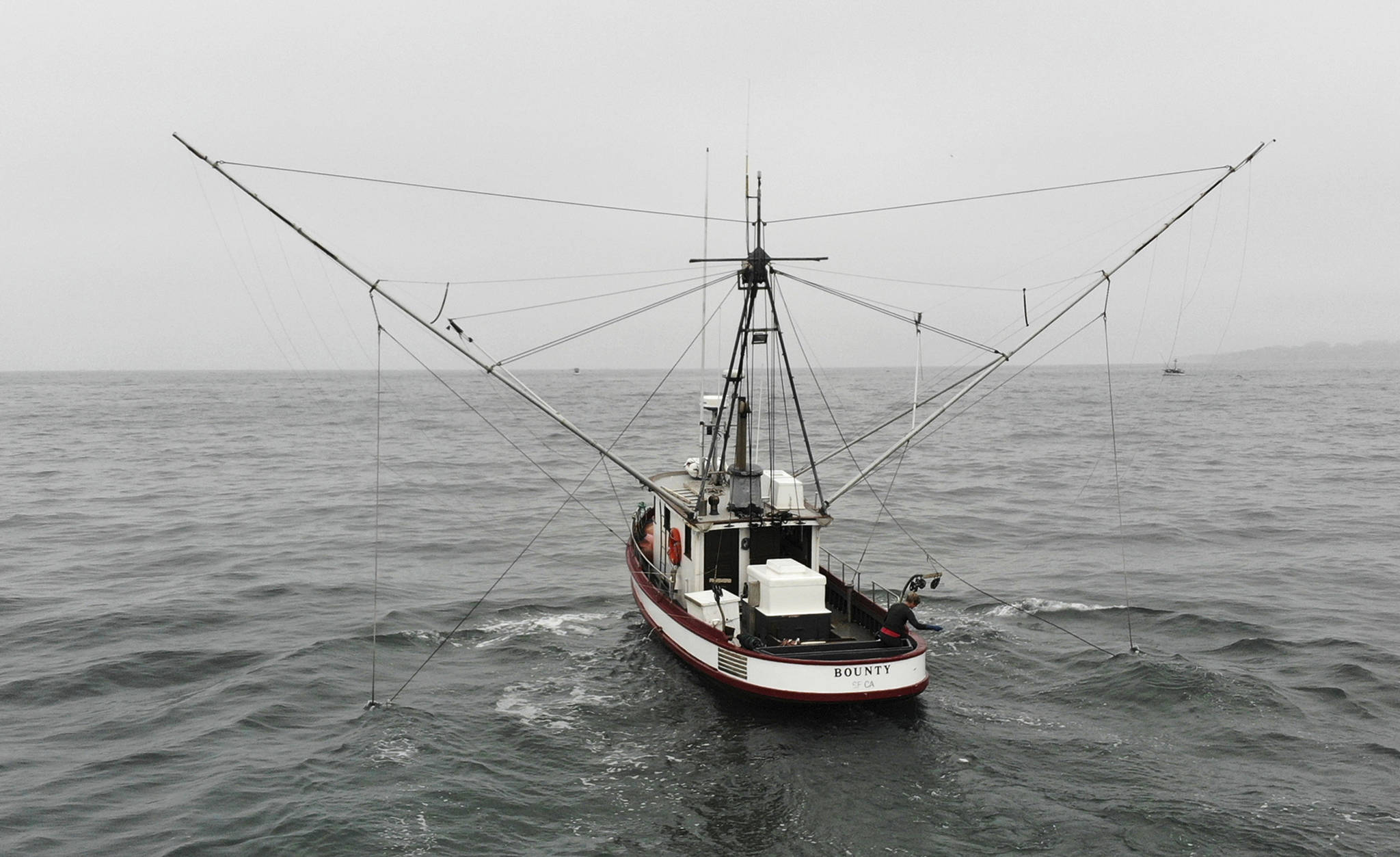 In this photo taken July 17, 2019, Sarah Bates fishes for chinook salmon on her boat Bounty off the coast of Bolinas, Calif. California fishermen are reporting one of the best salmon fishing seasons in more than a decade, thanks to heavy rain and snow that ended the state’s historic drought. It’s a sharp reversal for chinook salmon, also known as king salmon, an iconic fish that helps sustain many Pacific Coast fishing communities. (AP Photo/Terry Chea)
